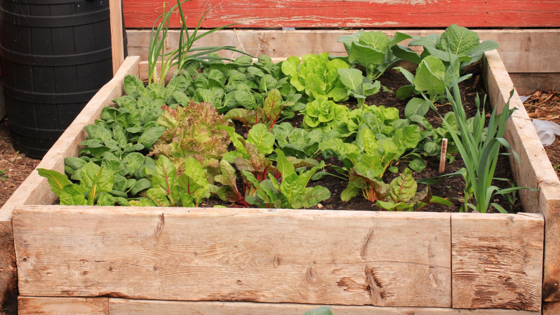 Házon belül is termeszthetünk növényeket