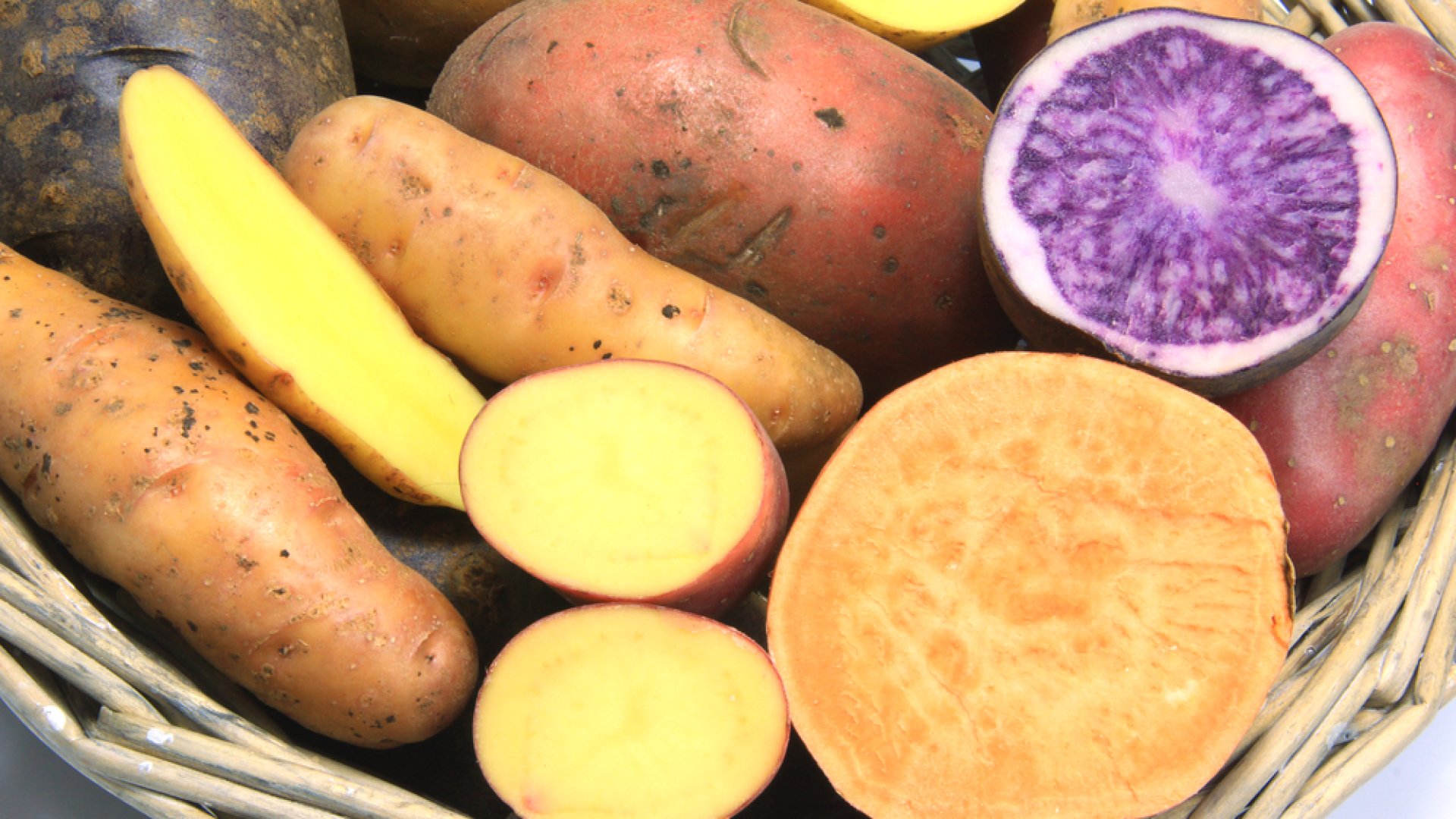 Az édesburgonya fajtái