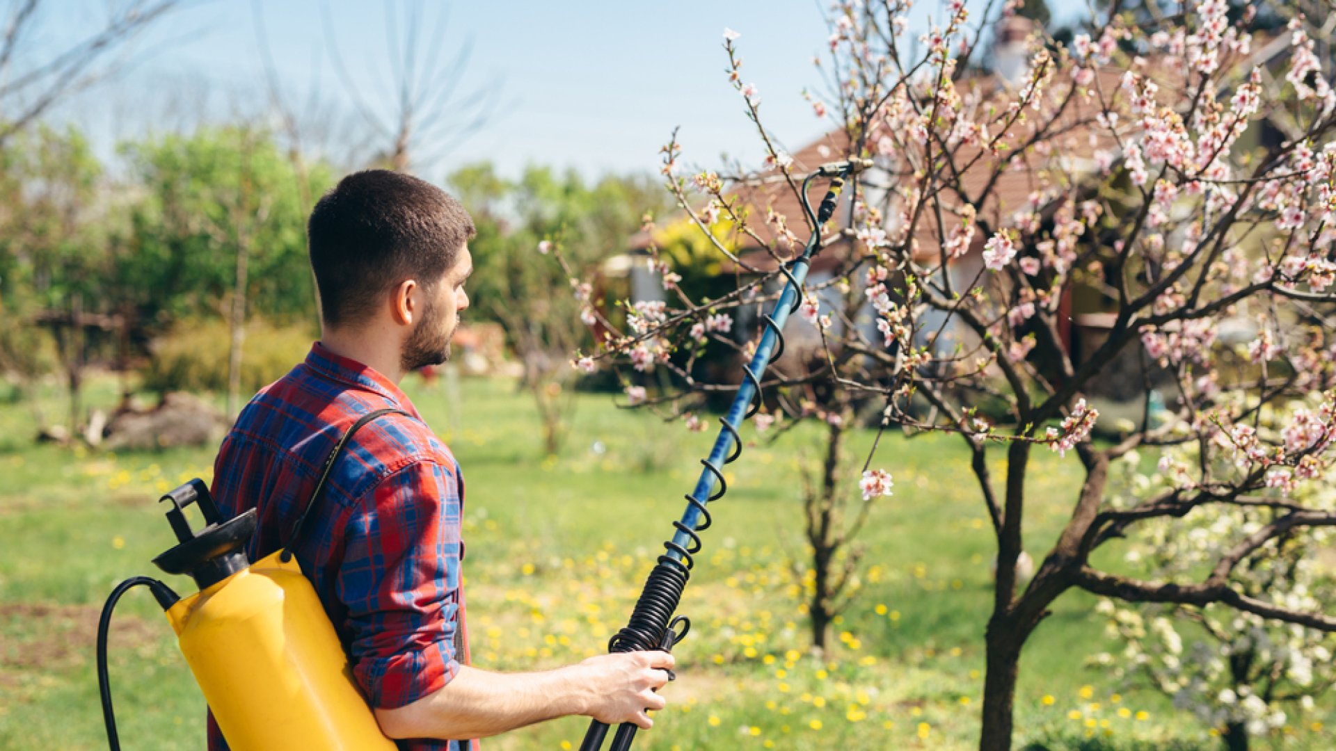 Növényvédőszerek keverhetősége – Mit, mivel, hogyan keverhetünk? 
