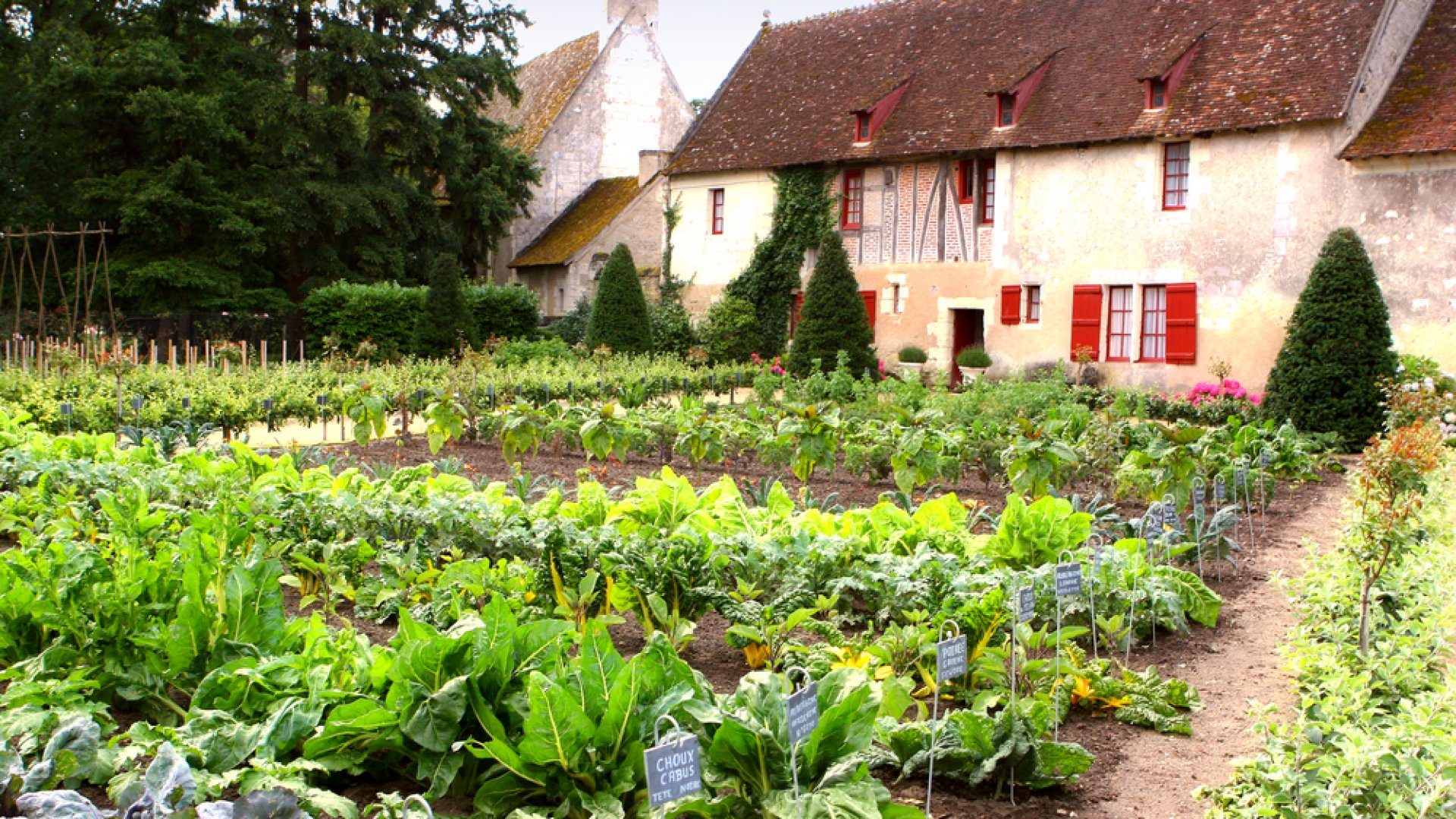10 szakértői tipp a termékeny kert eléréséért