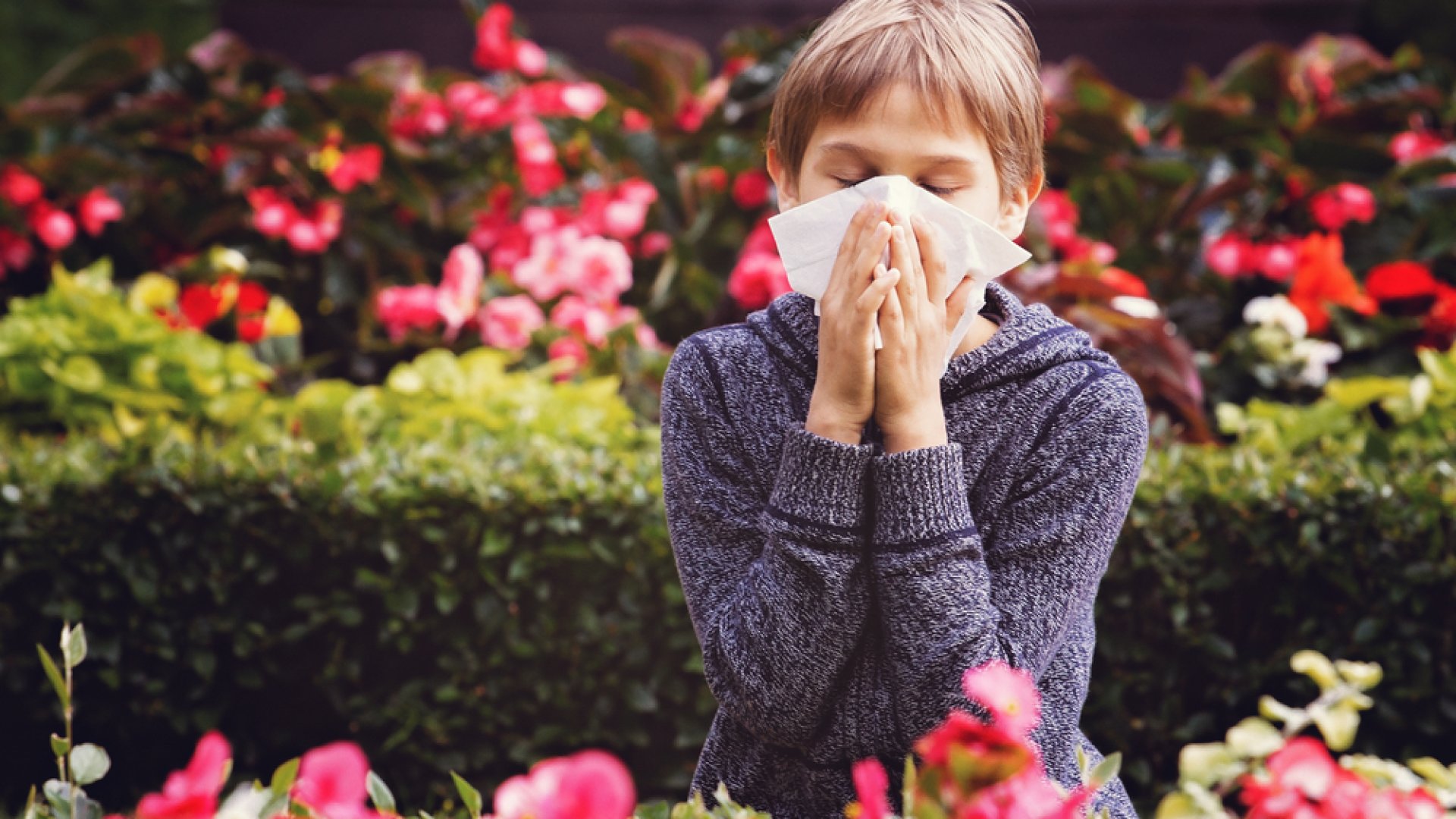 Ezeket a virágokat nyugodtan elültetheted akkor is, ha allergiás vagy