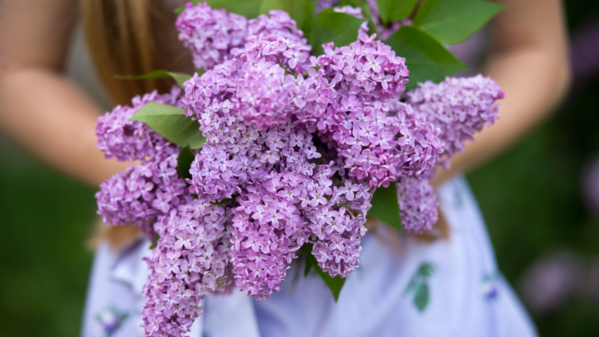 10 illatos virág, amit imádni fogsz a kertedben! 