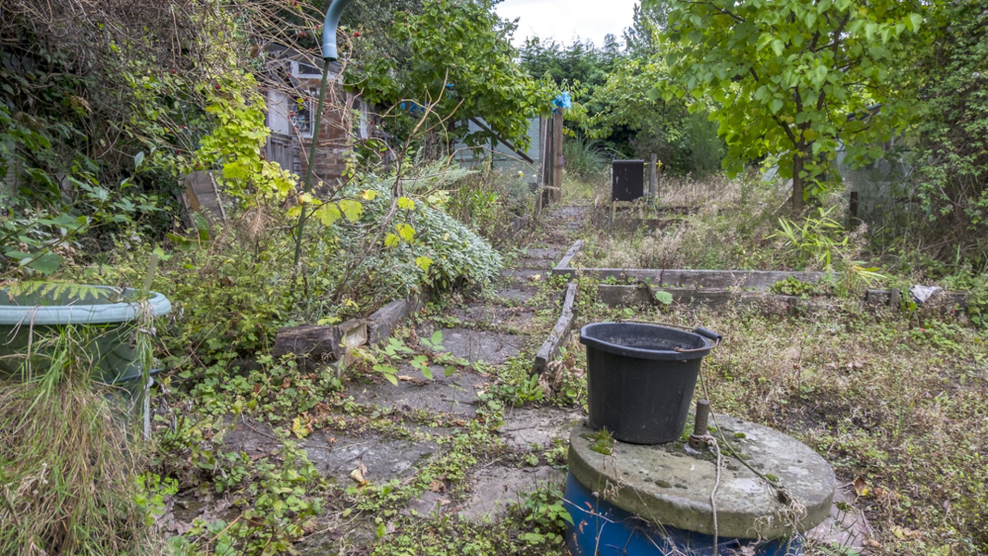 Kíváncsi vagy, hogy hozunk létre mesés csodát ebből az elhanyagolt kertből? Megmutatjuk! 