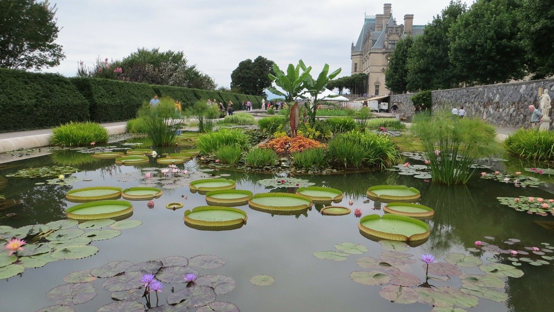 Imádni fogod - Így alakíts ki mutatós és praktikus vízkertet!