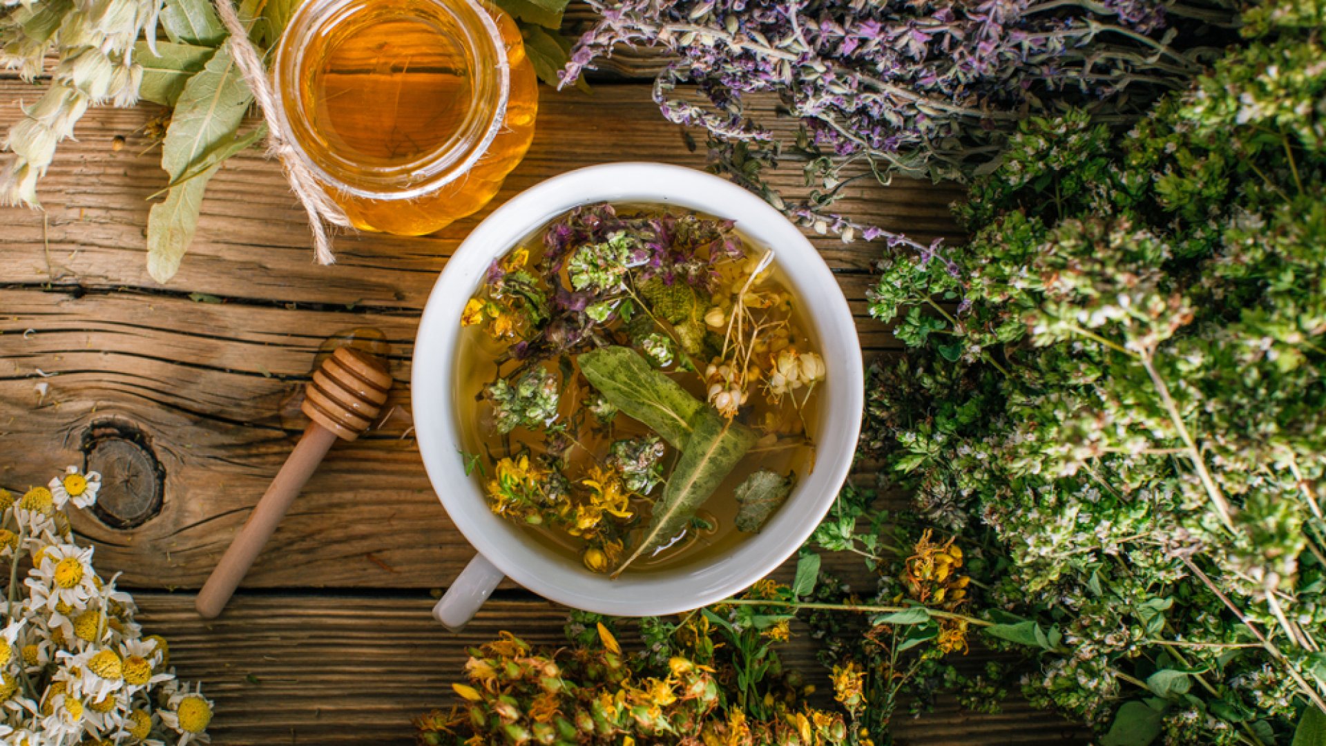 Gyógyszer nélkül: gyógynövények, házi praktikák a bajra