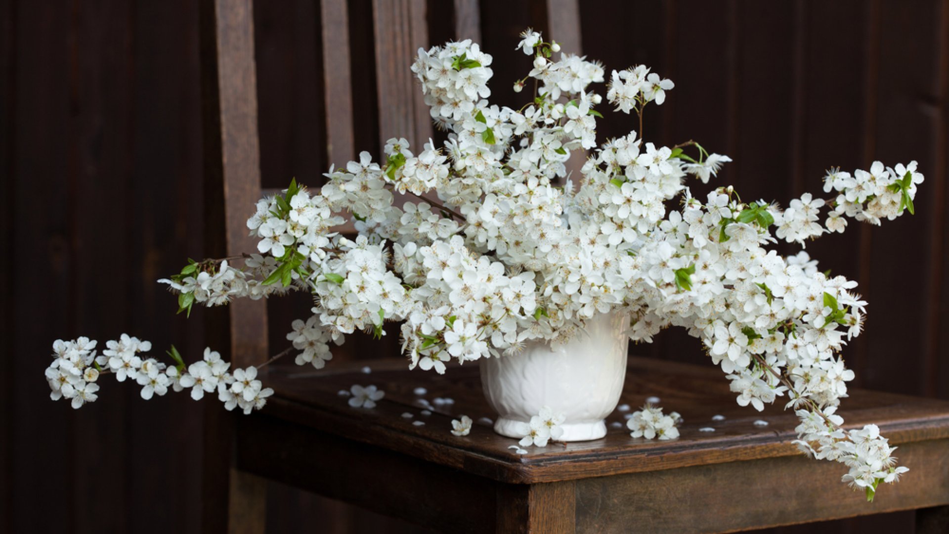 Vidd be otthonodba a tavaszt - Így virágoztathatod ki az ágakat a szobában! 