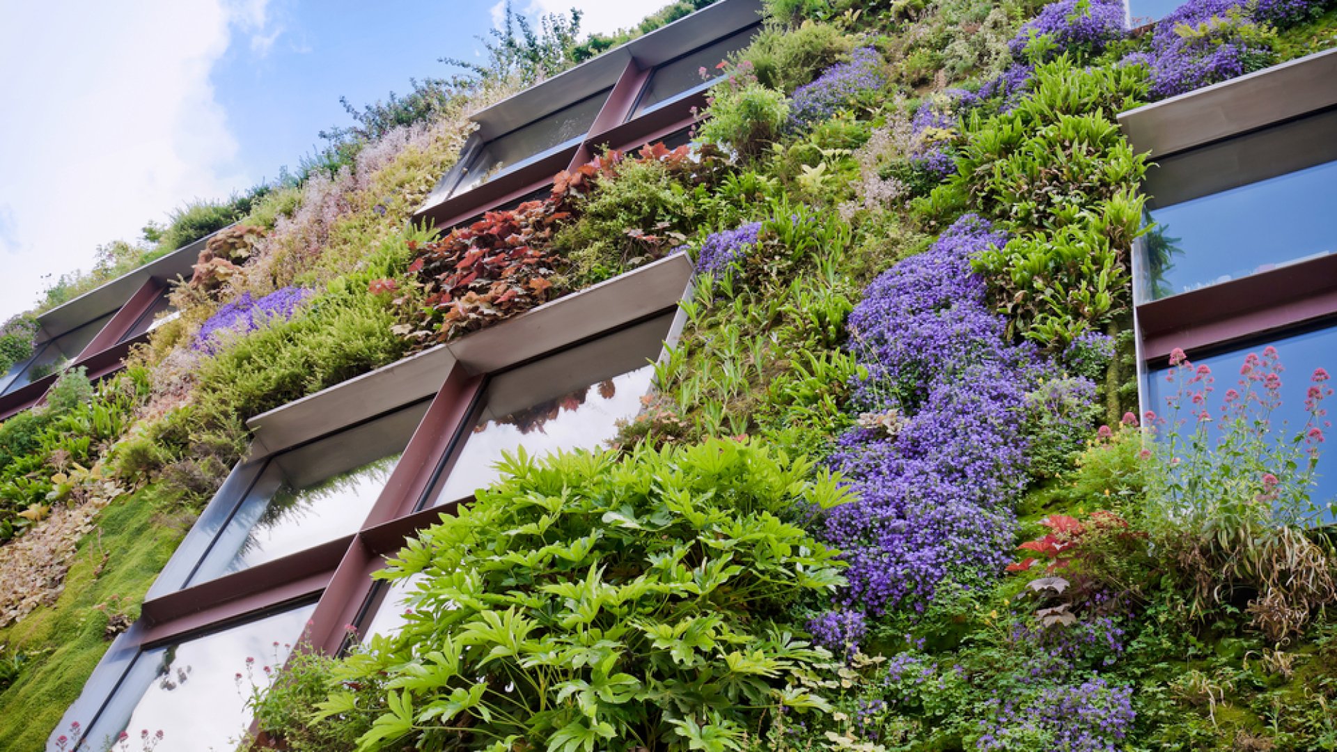 Így alakíthatsz ki te is csodaszép élő falat otthonodban