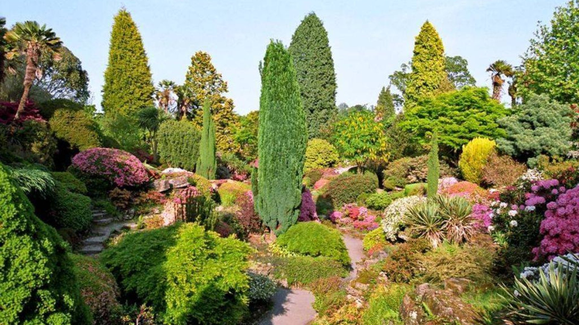 Karantén a kertben - Mit csináljunk otthon a koronavírus idején? 