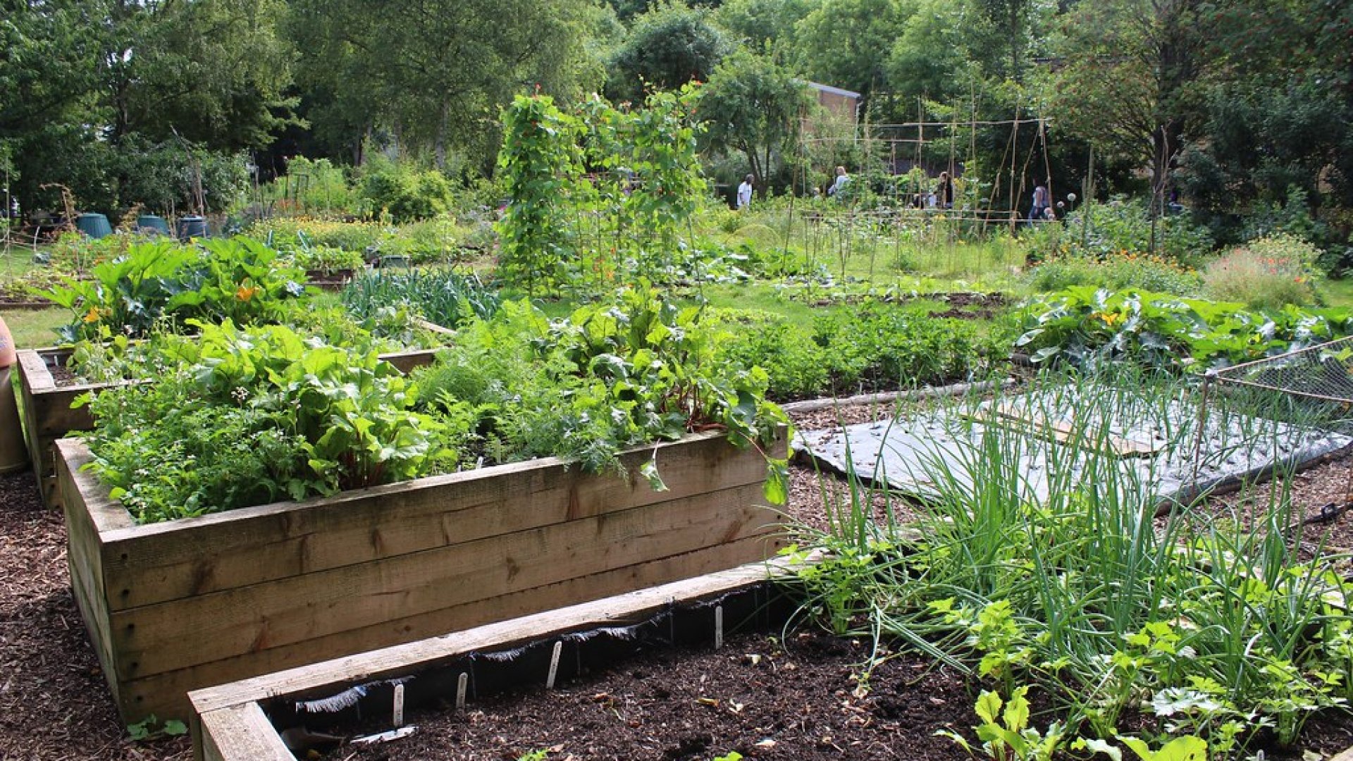 Így könnyíti meg a kertészkedést a magaságyás - Bevált tippek az elkészítéséhez