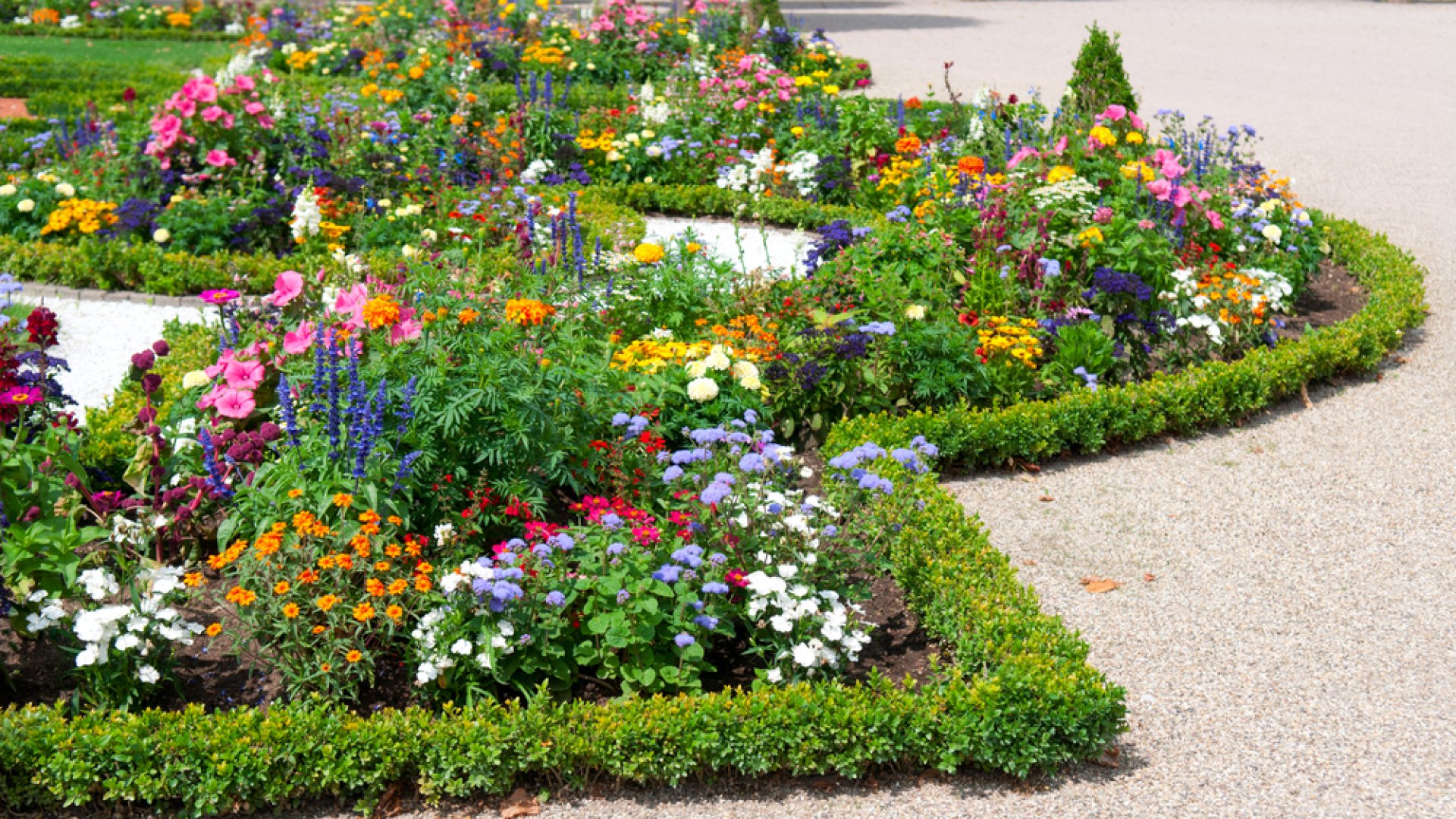 Pillanatok alatt, fillérekből hozhatsz létre meseszép virágágyást! 