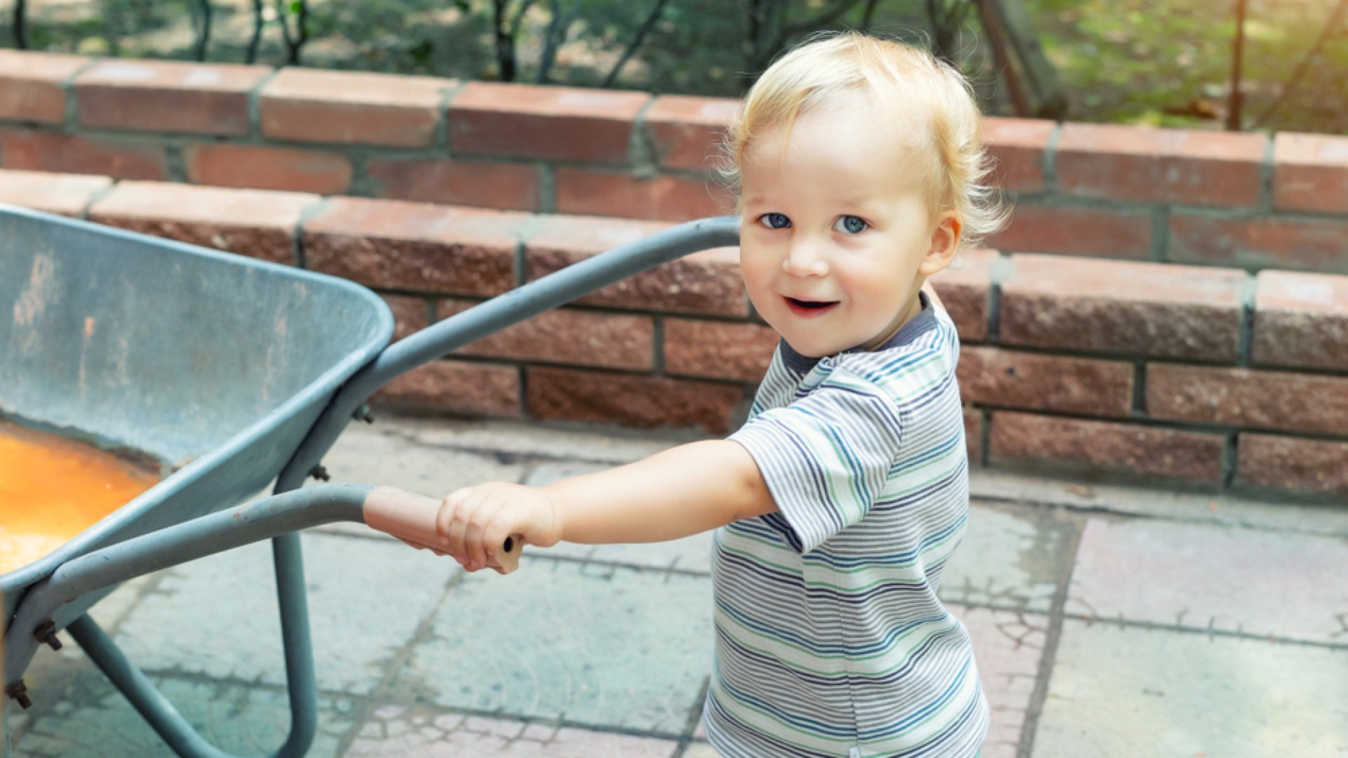 Így gondozz egy nagy kertet kis munkával