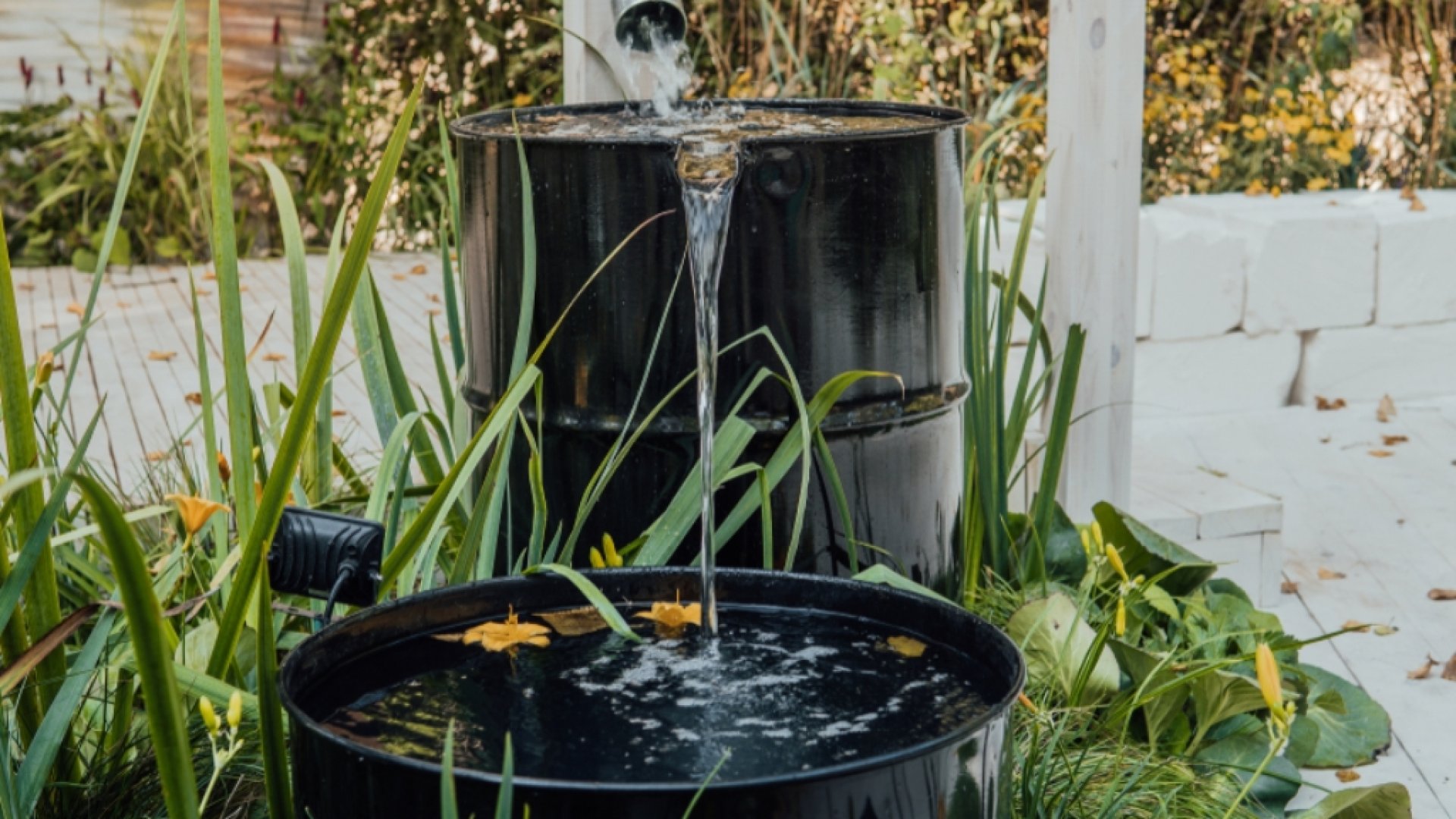 Hasznosítsd a csapadékot – Így alakíts ki praktikus esőkertet! 
