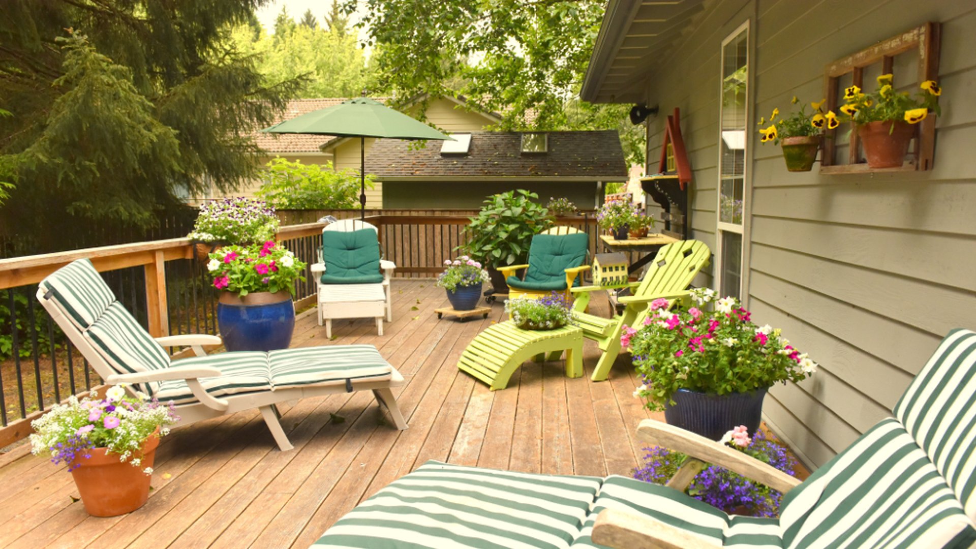 19 mesés virág, ami csodálatossá varázsolja a teraszt! 