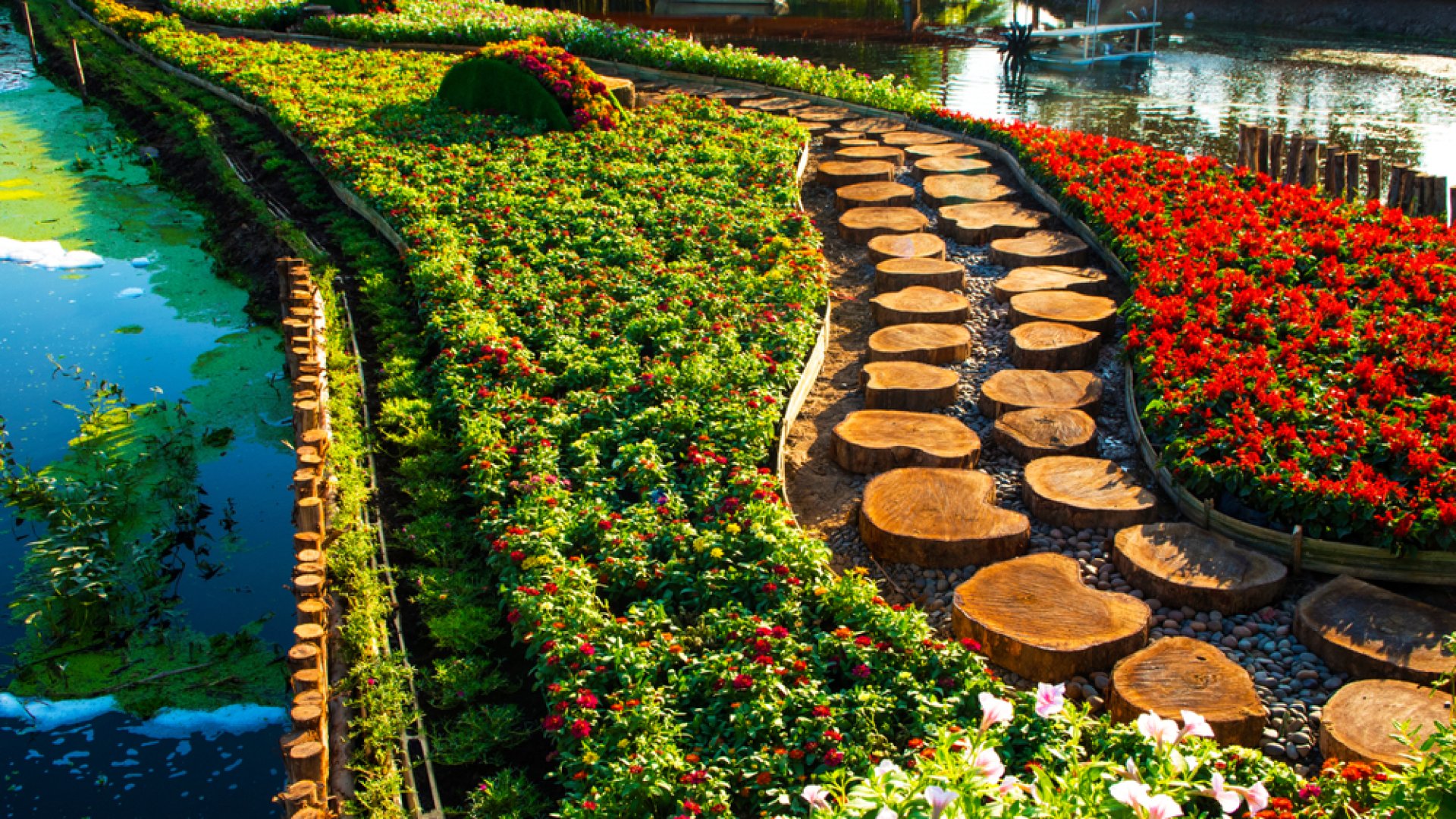 Természetes talajjavítók, amiket érdemes bevetni tavasszal!