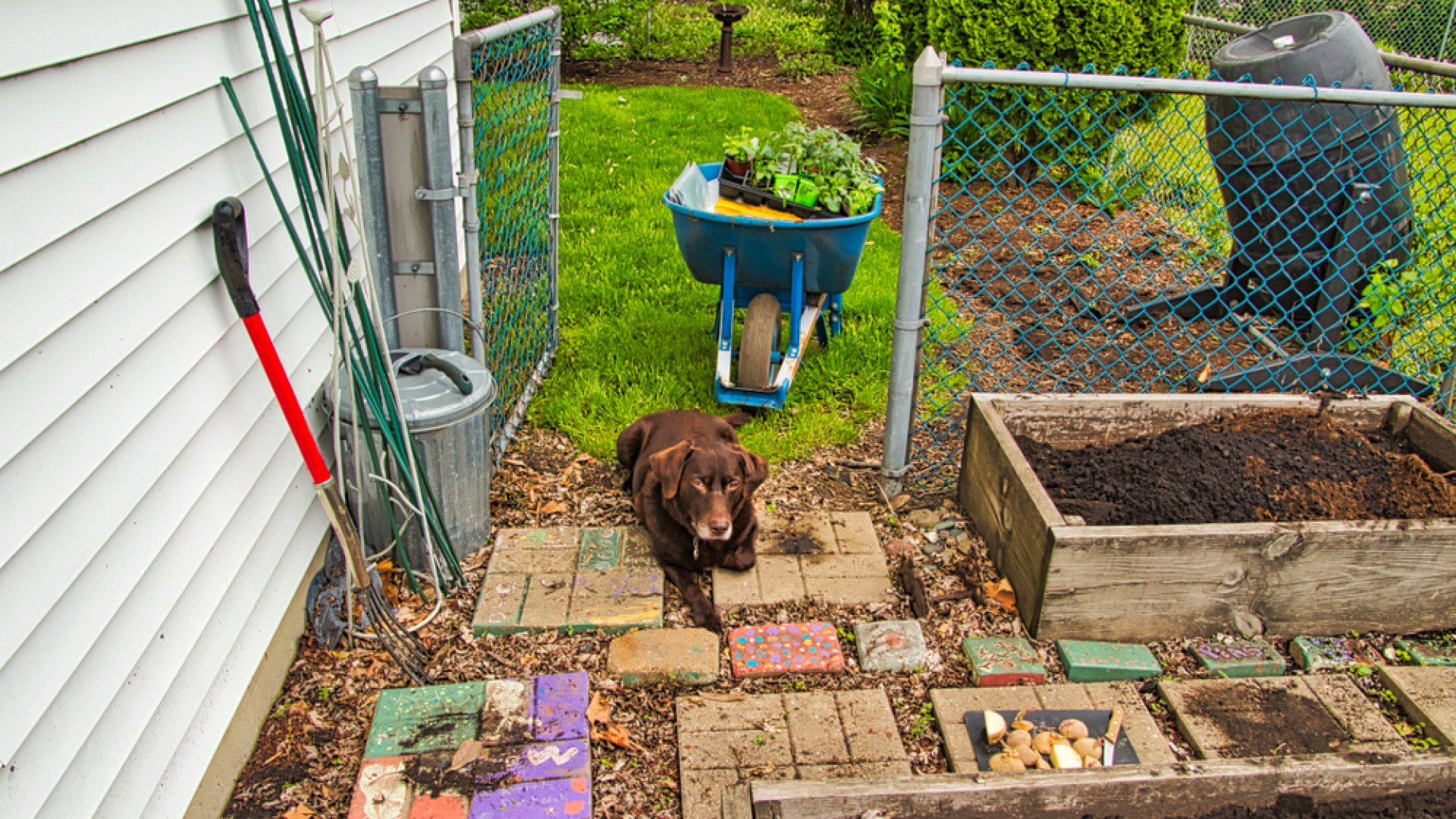 Az új évtized csodaszere – Így használd a mentakomposztot a kertben! 