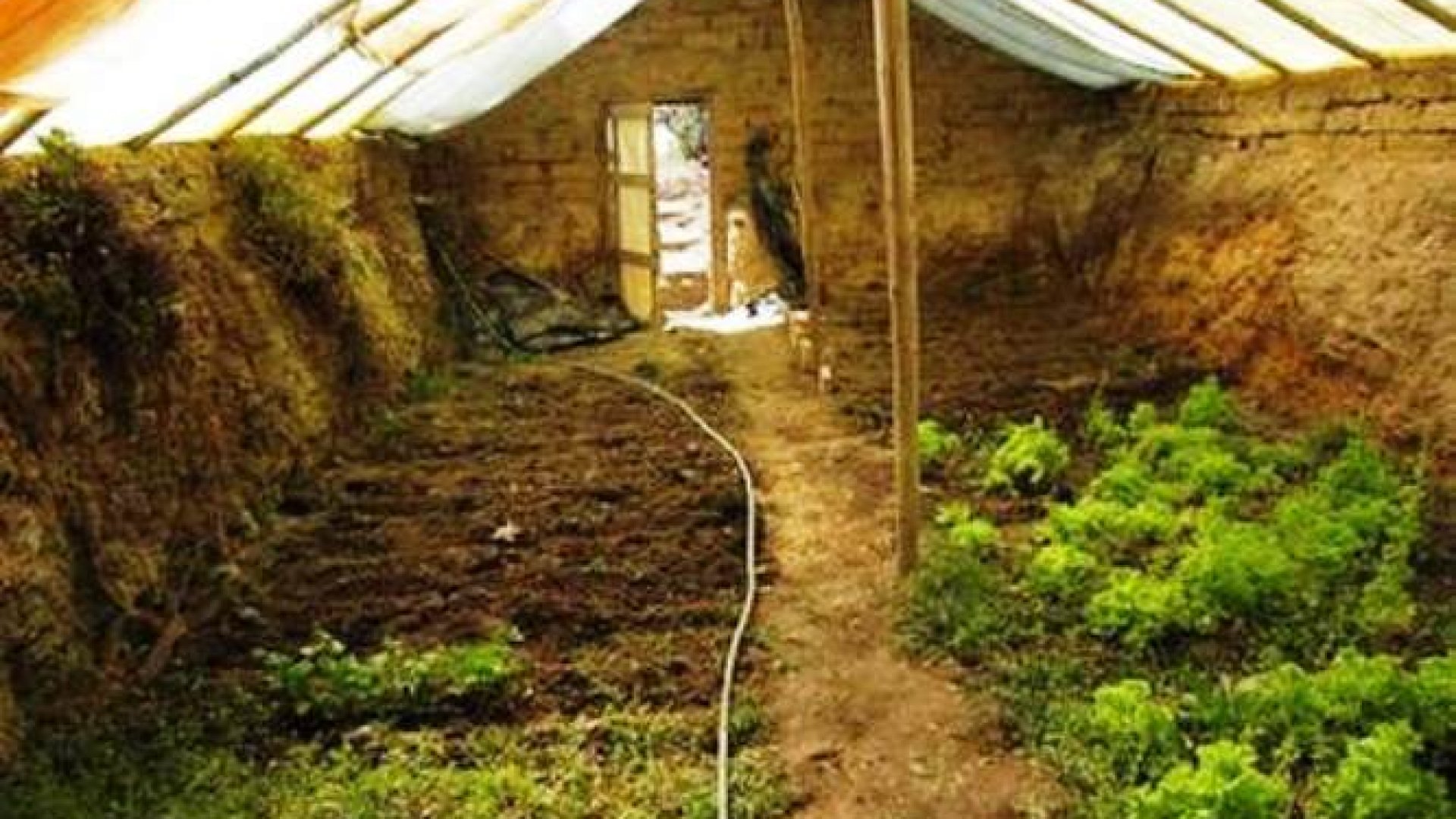 Egész évben friss gyümölcs és zöldség - Építsünk walipini üvegházat! 