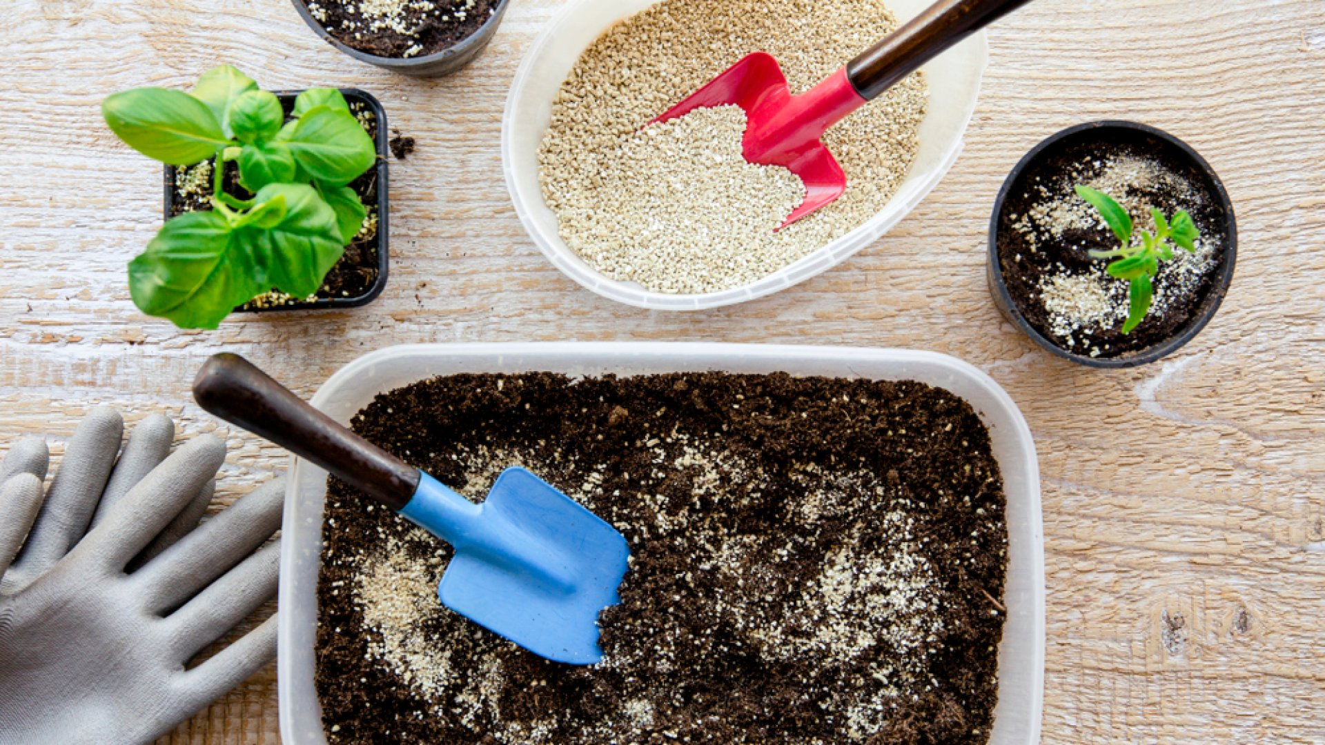 Vermikulit és perlit – Ezért érdemes használnod mind a kettőt!  