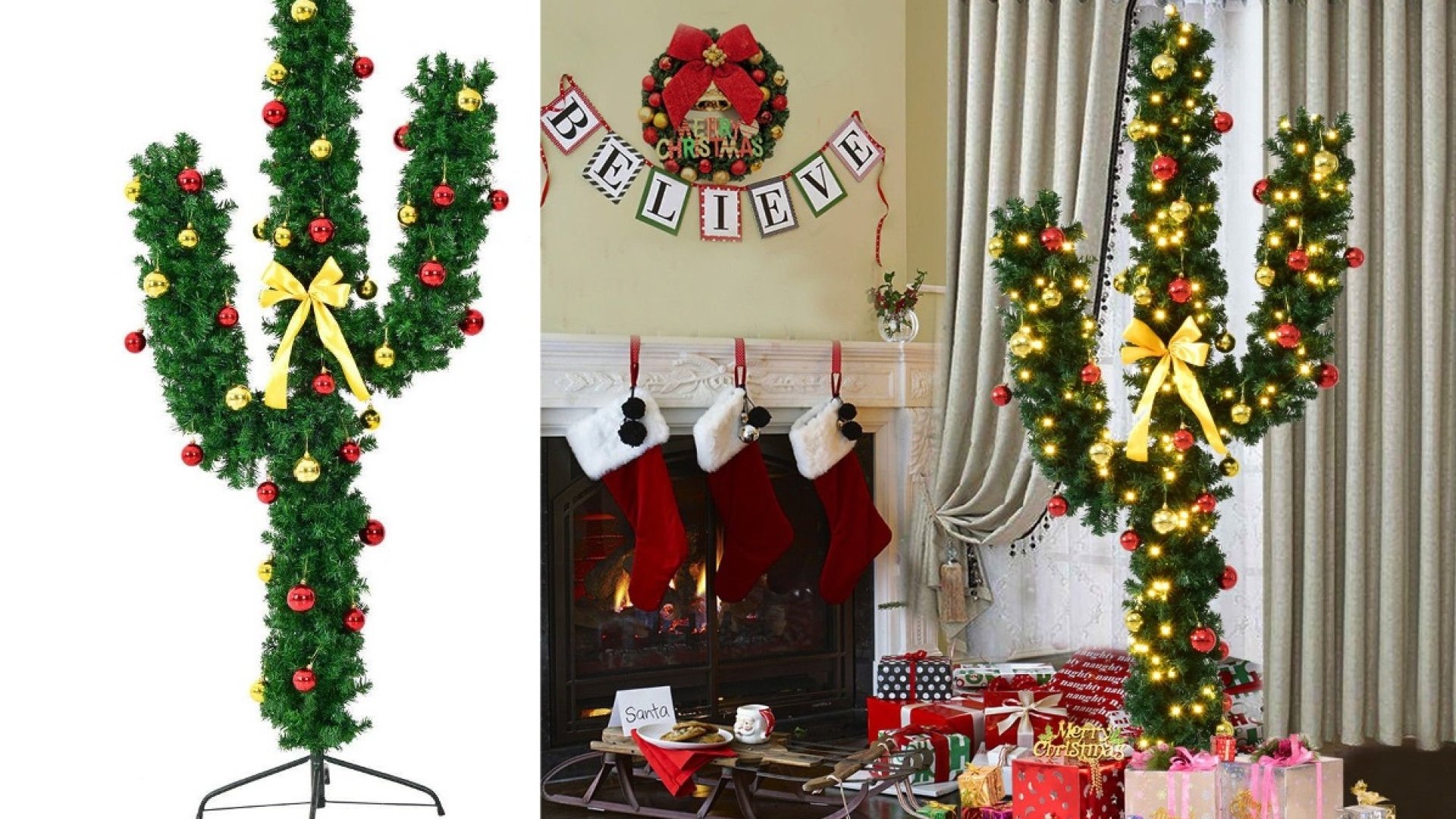 Már kaktuszkarácsonyfát is vásárolhatunk