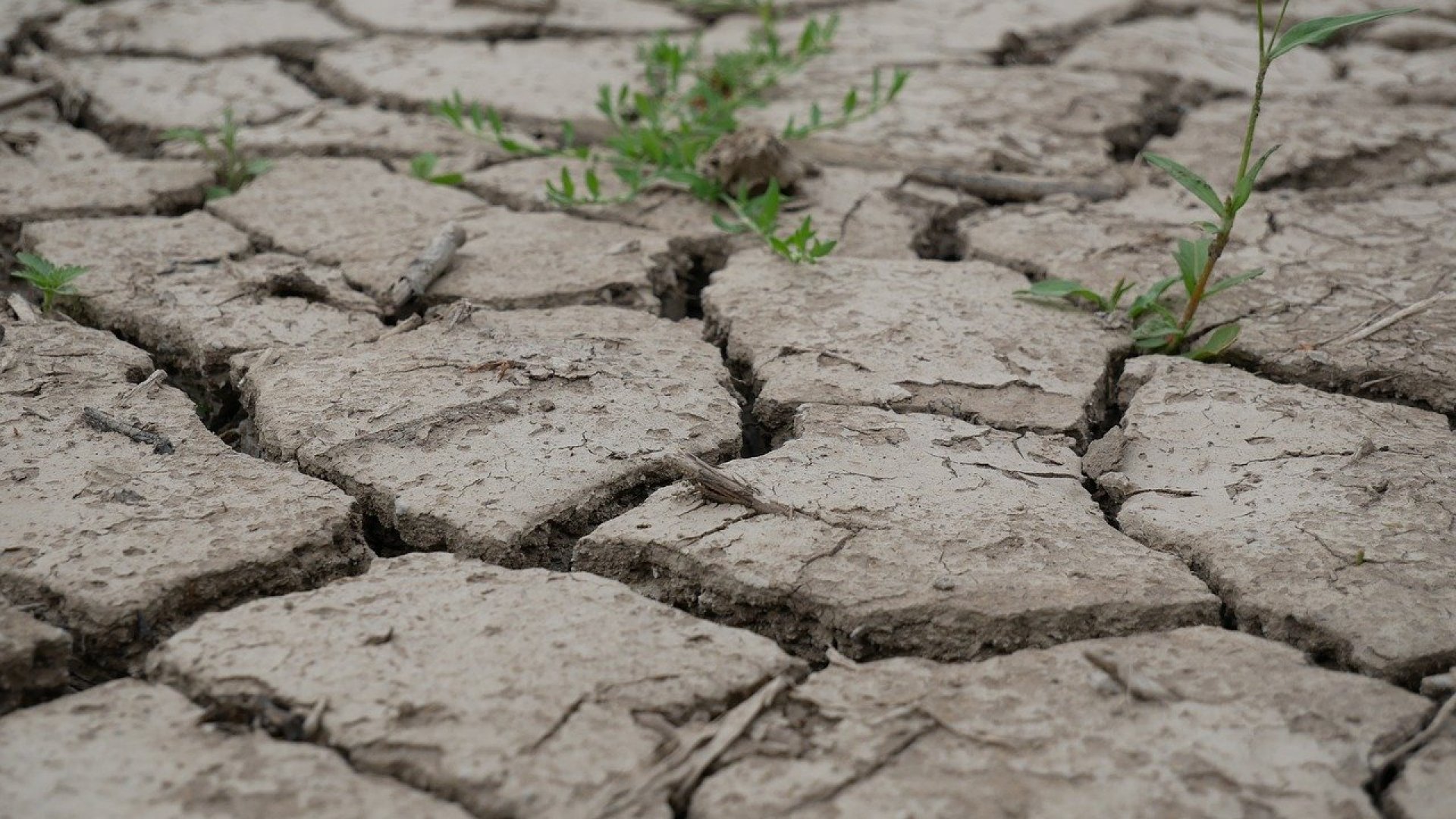 Így javíthatod az agyagtalaj minőségét – Szakértői tanácsok! 
