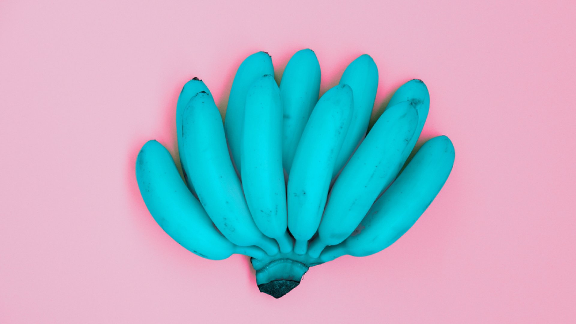 Nemcsak a színe, az íze is más – A vaníliaízű kék banán! 