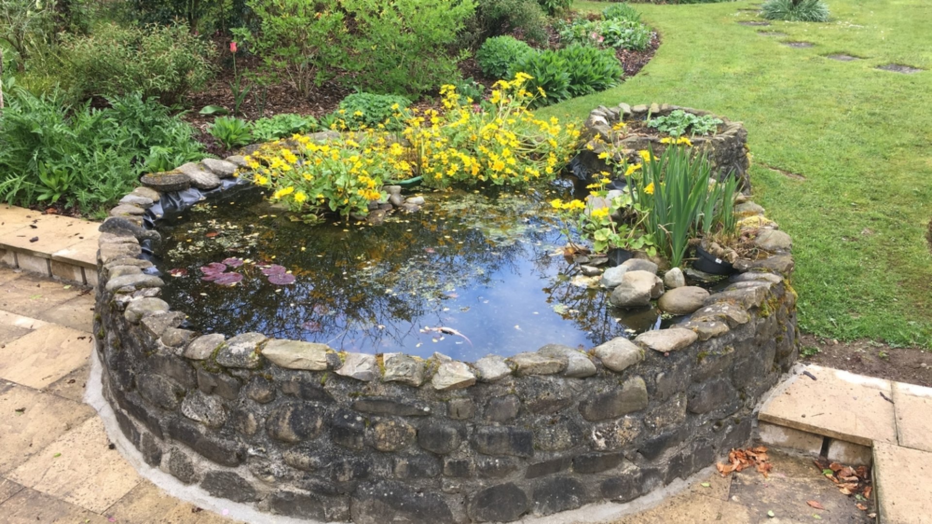 23 eszméletlenül szép kerti tó a víz szerelmeseinek