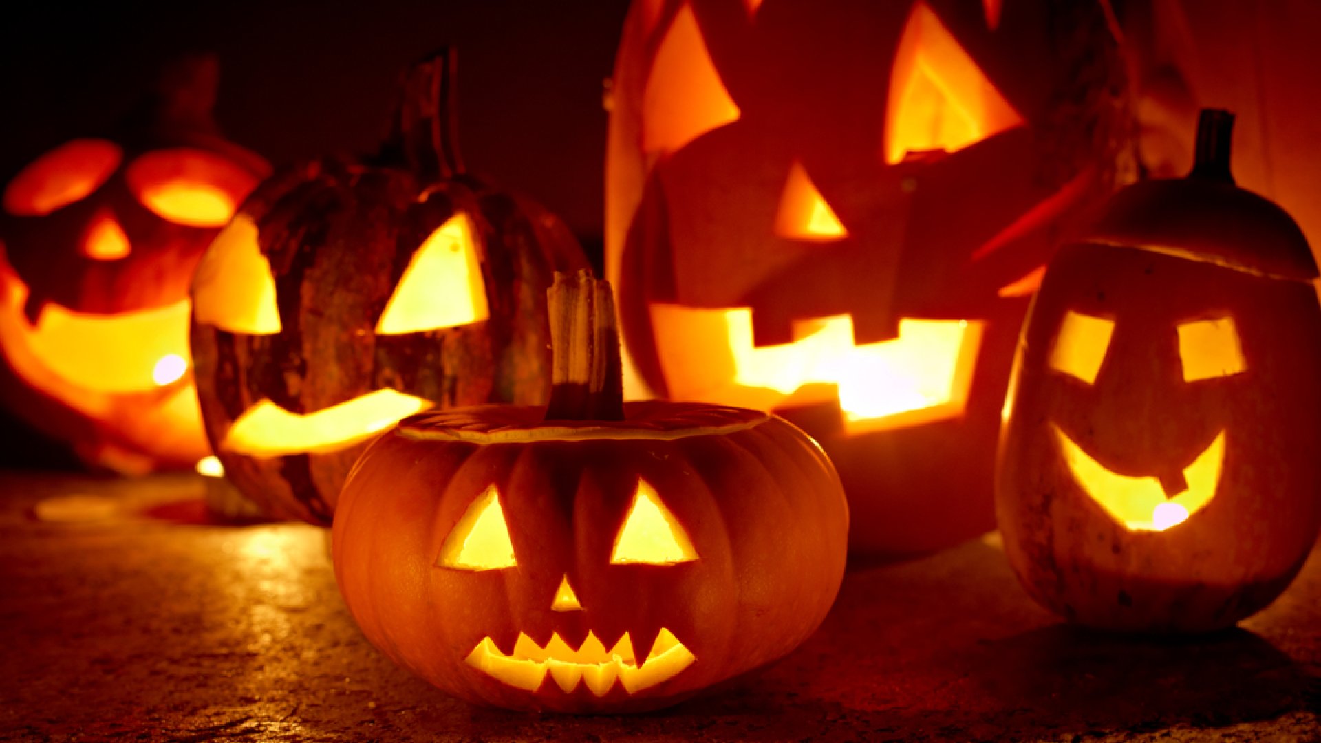 Véletlenül se edd meg – mérgező is lehet a halloween-i tök belseje! Véletlenül se edd meg – mérgező is lehet a halloween-i tök belseje!