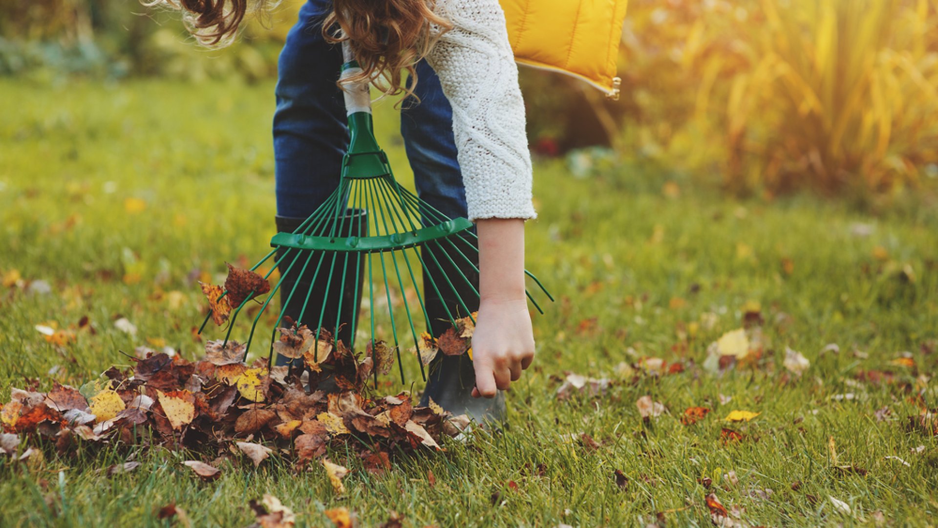Ezeket a dolgokat kell megtennünk a kertben októberben