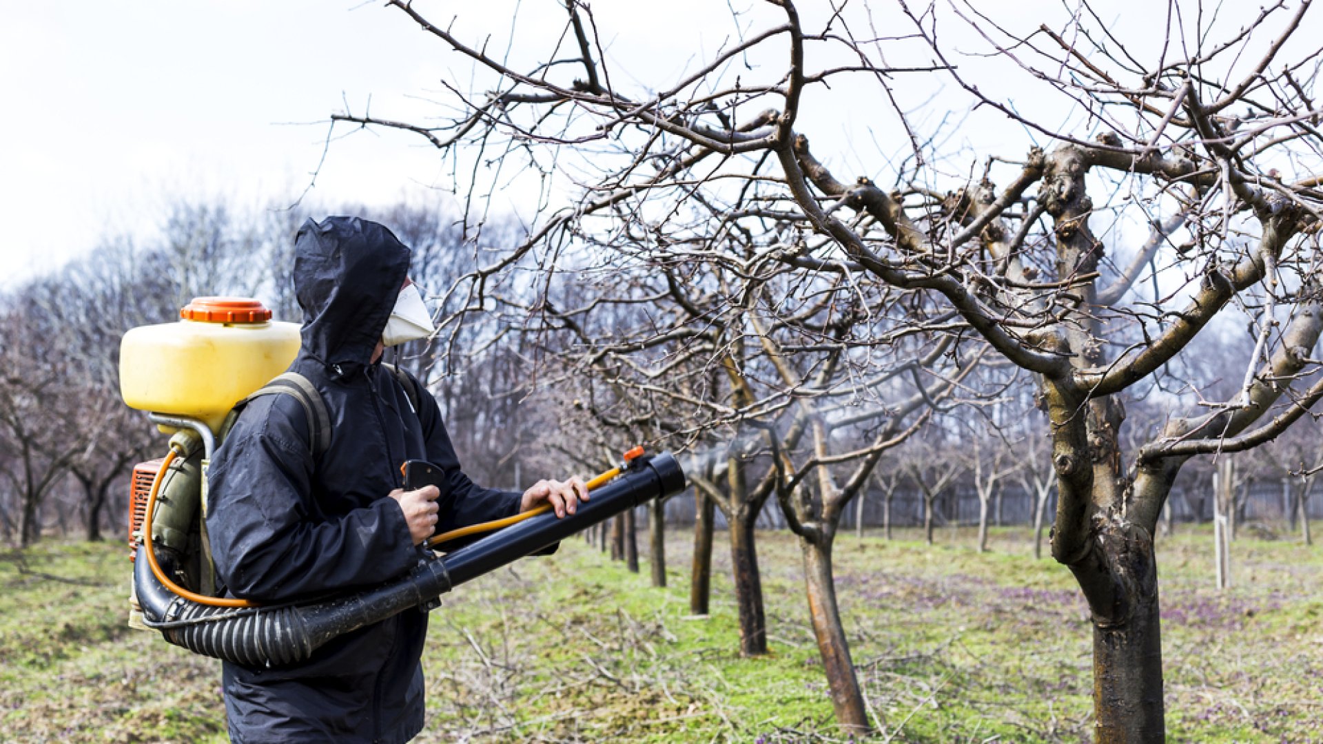 Ne feledkezz meg róla – Itt az őszi lemosó permetezés ideje!