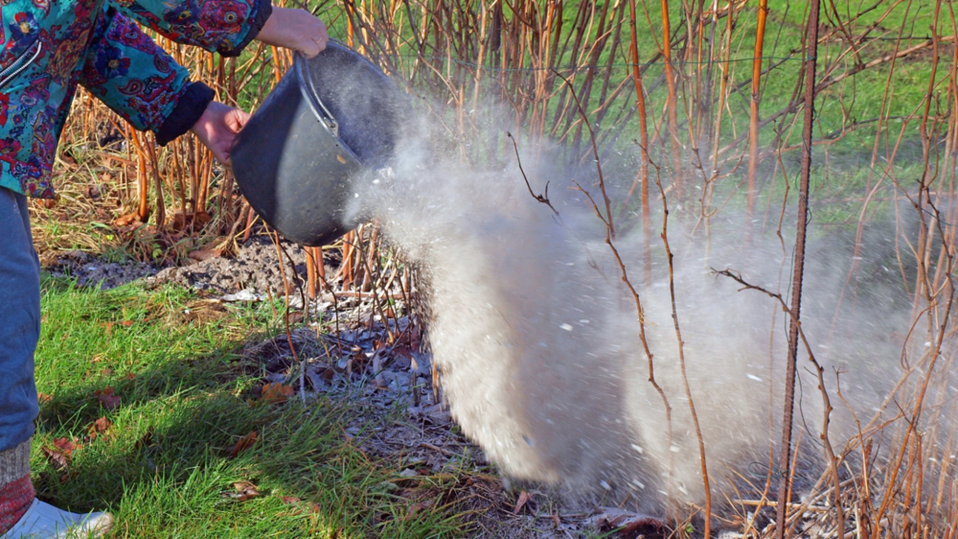 Véletlenül se dobd ki – A fahamu felhasználása a kertben! 