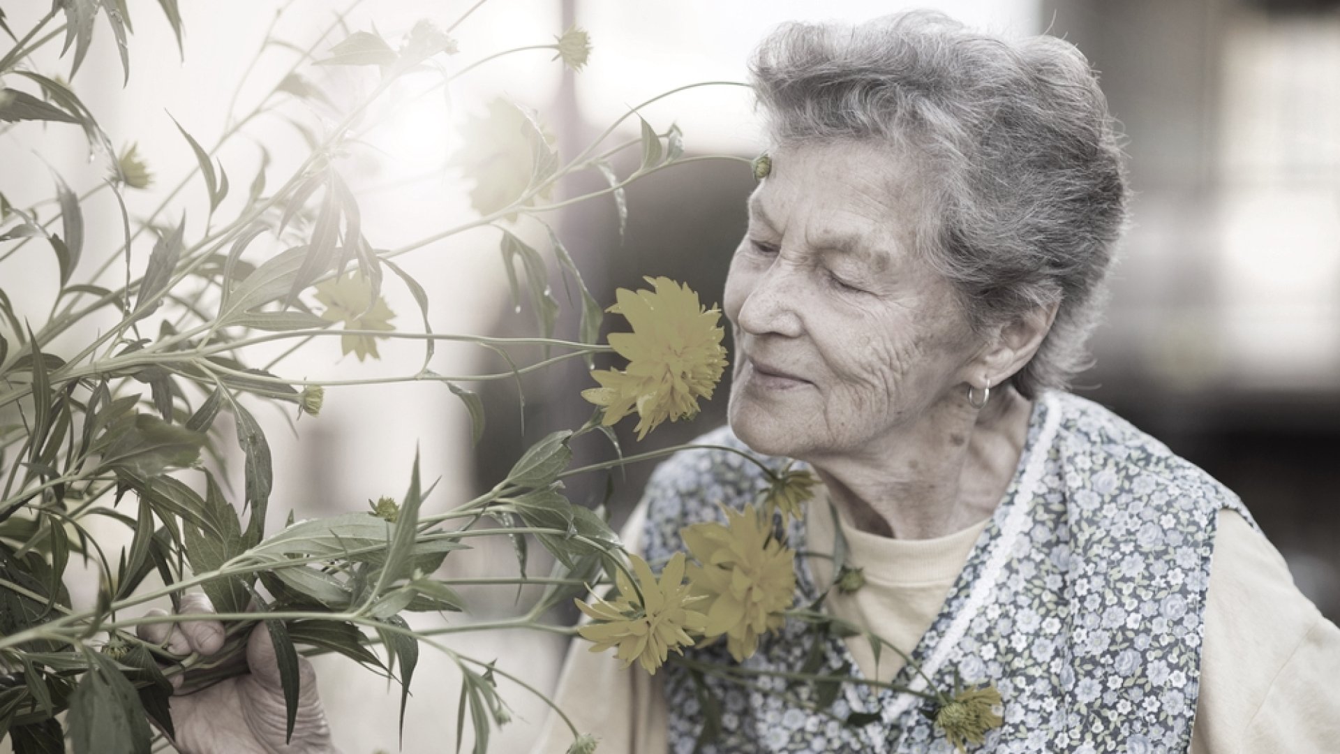 Nagyszüleink kertje – Amikor még mindent megtermeltek maguknak az emberek!