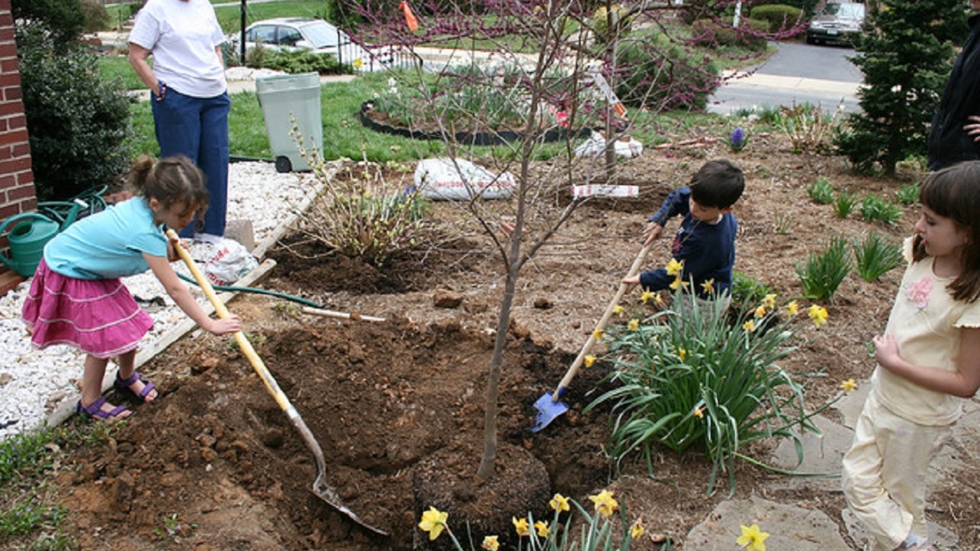 Ébredj, és ültess (legalább) egy fát te is!  Ébredj, és ültess (legalább) egy fát te is!
