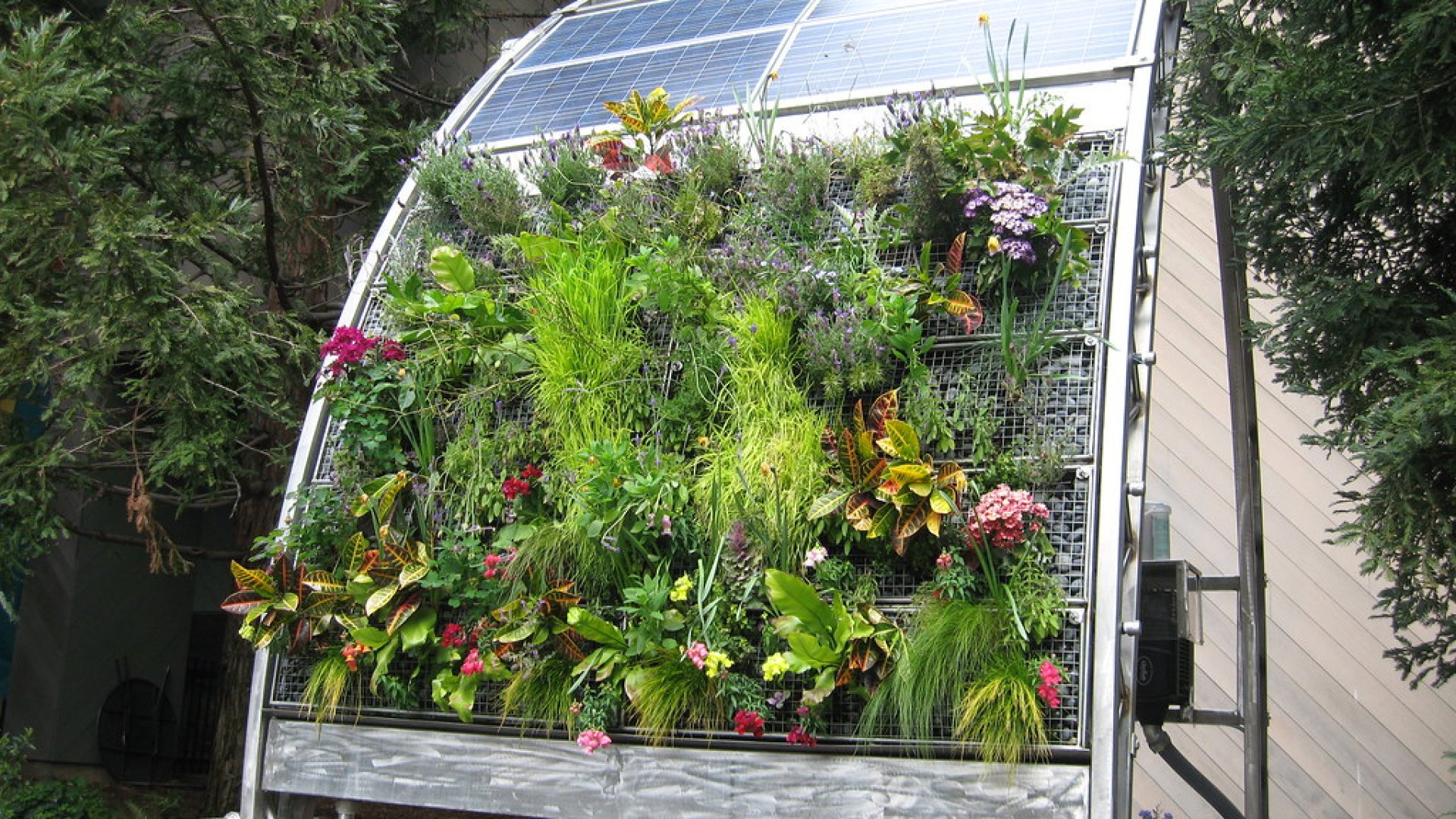 A két legjobb módszer függőleges kerted öntözésére