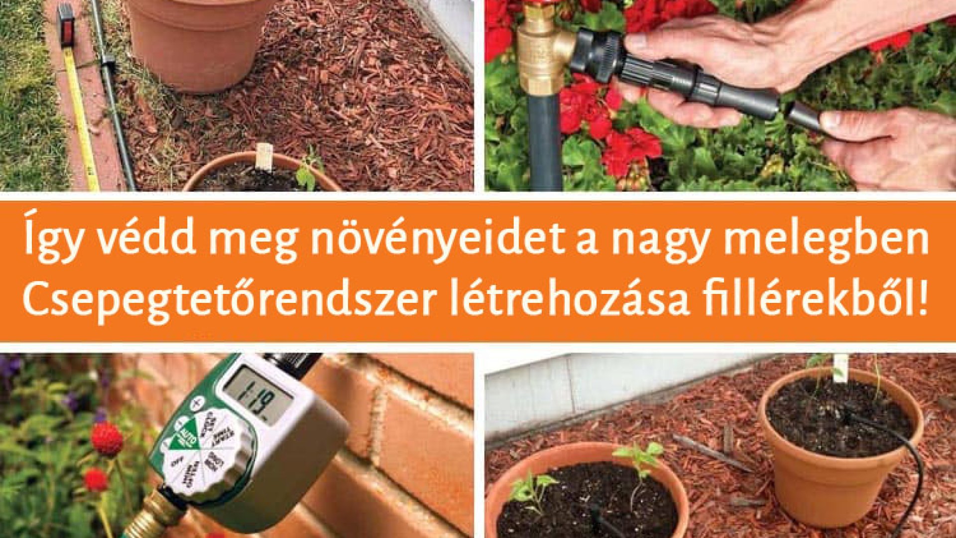 Csepegtetőrendszer építése