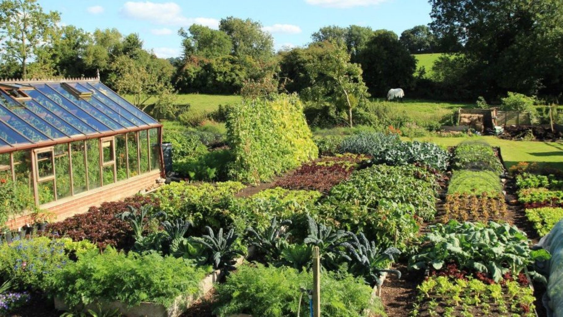 A módszer, amivel örökre elfelejtheted az ásást, kapálást és a gyomlálást!