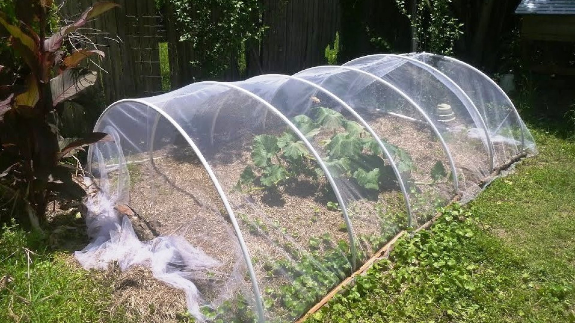 Így védd meg kertedet fóliaalagutakkal