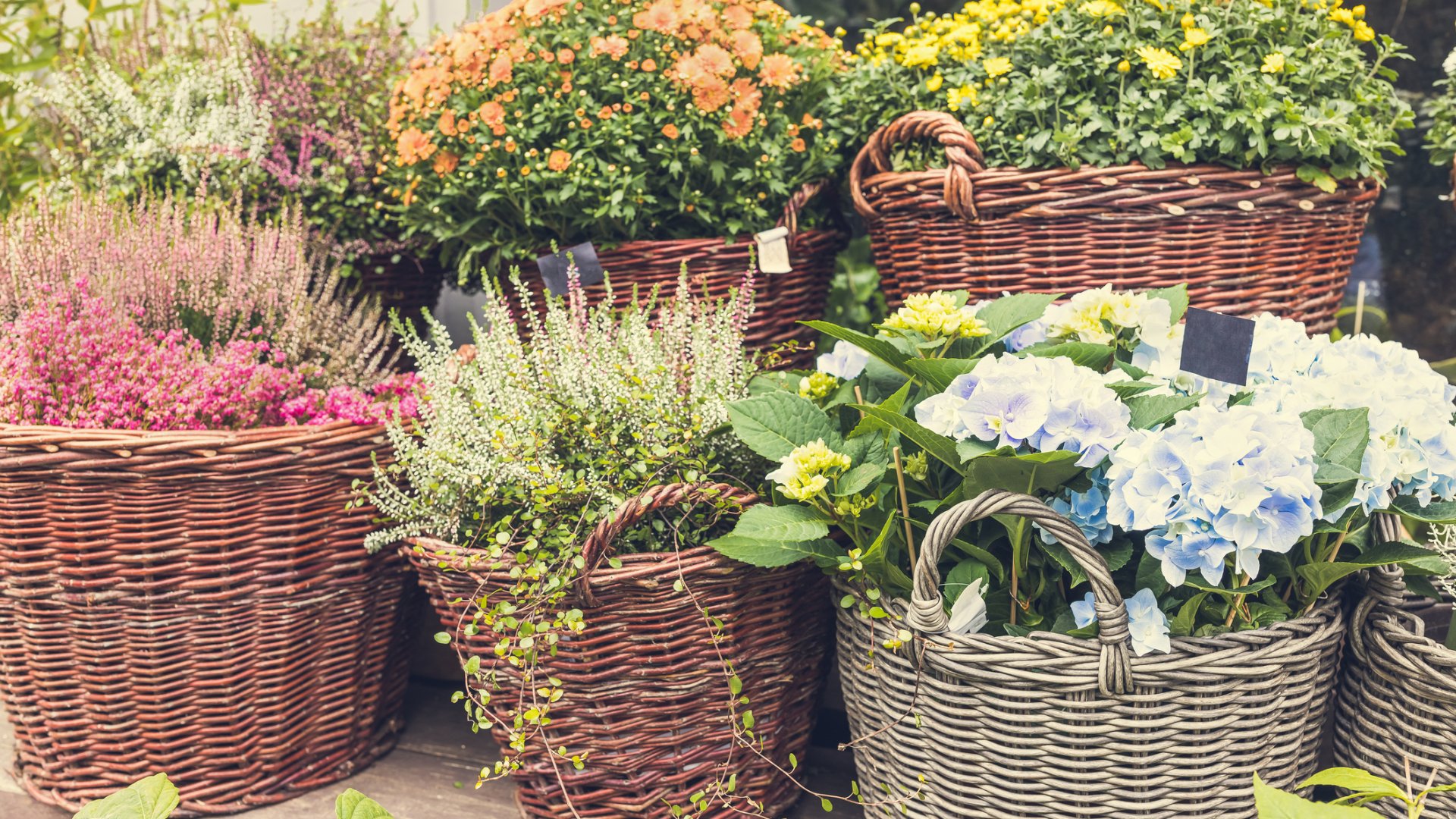 Néhány kerti kosár és varázslatos kosárkertet készíthetsz magadnak! Mutatunk néhány tippet!