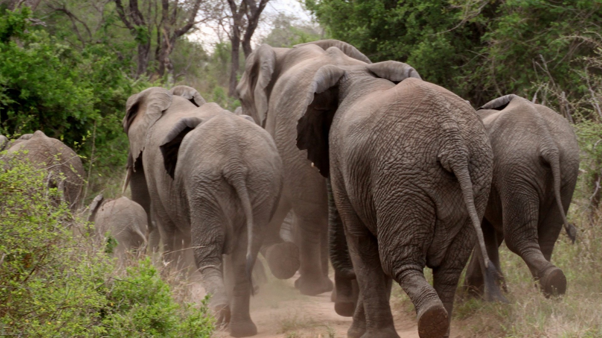 A Kruger Nemzeti Park