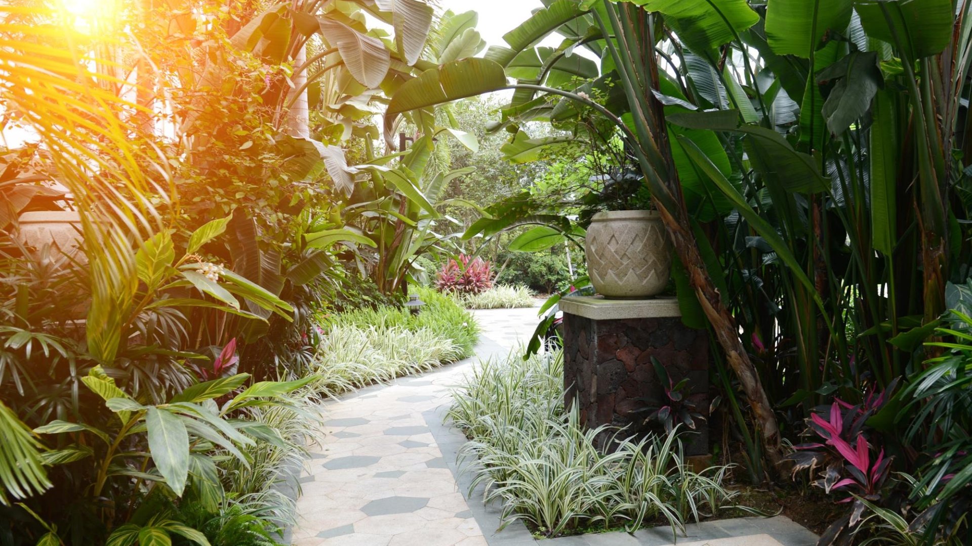 Gardenexpo 2019 – nyiss ajtót a kertedre! Gardenexpo 2019 – nyiss ajtót a kertedre!