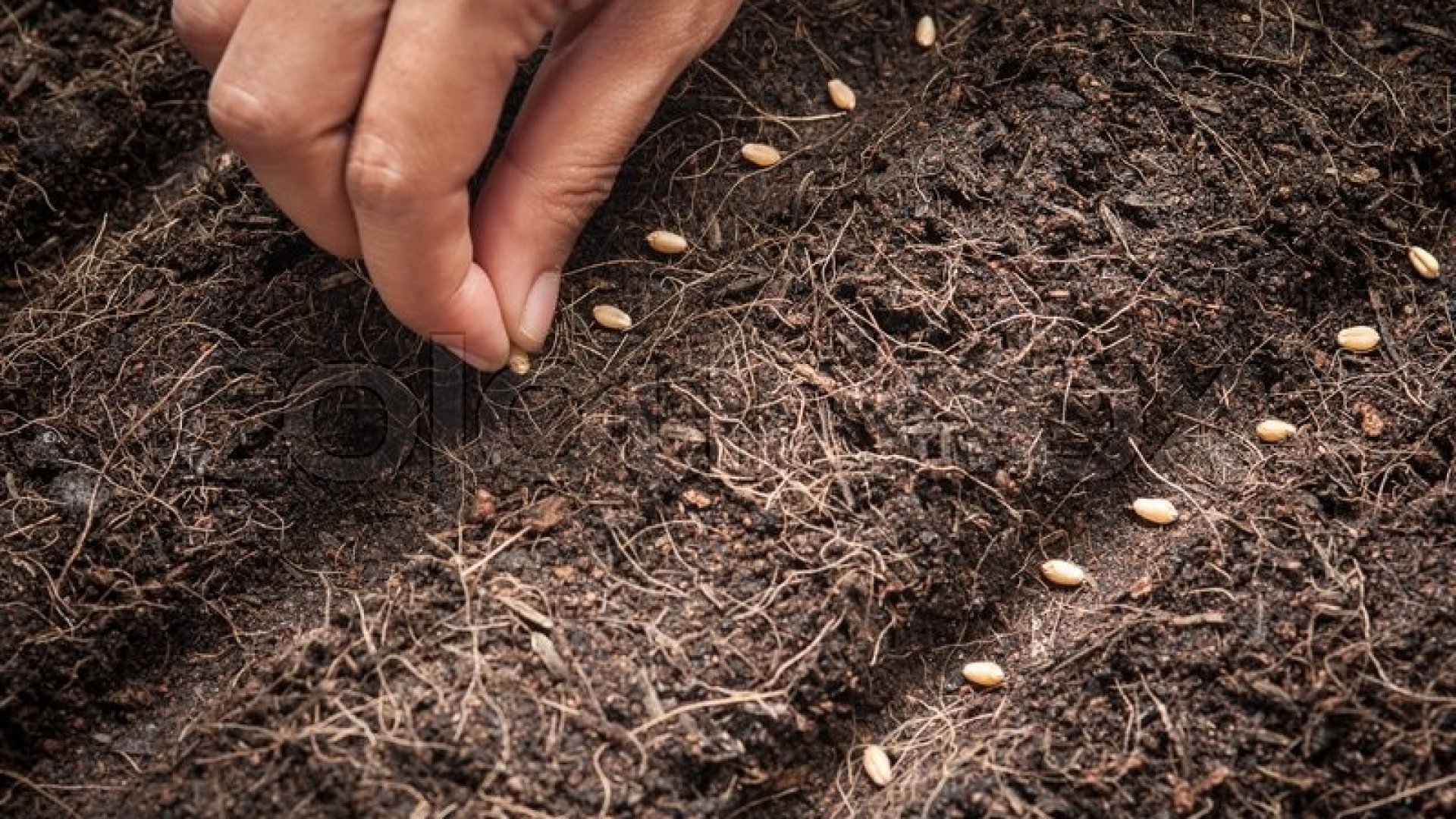 Február eleje – Érkezik az első magvetés ideje! 