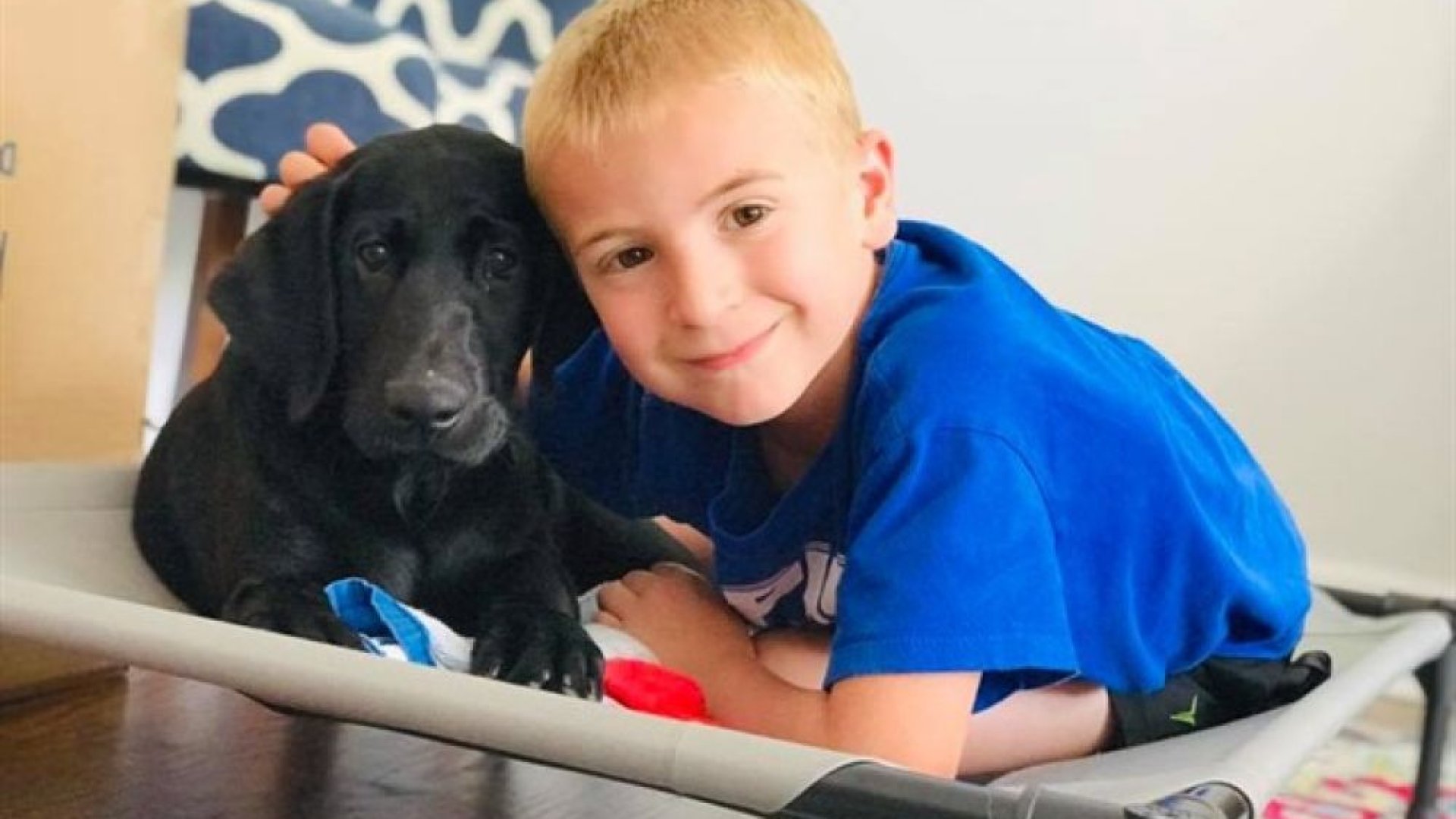 1300 kutyának segített otthont találni 3 év alatt, pedig csak 7 éves! 