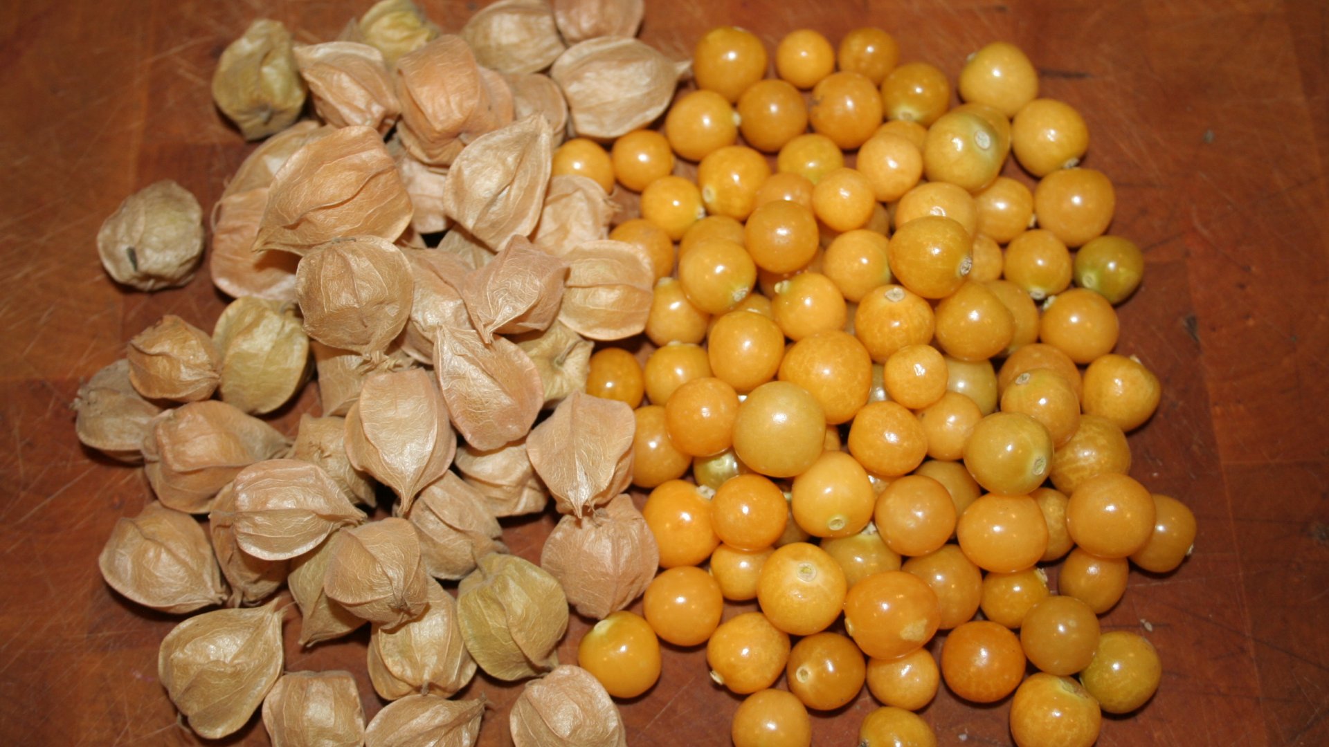 Ismerjétek meg a földicseresznyét