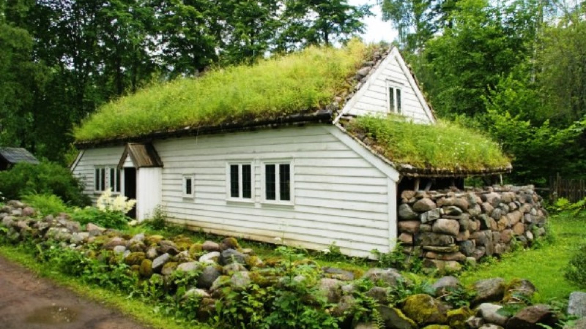 Mik azok a zöld tetők, és miért érdemes kialakítani egyet?