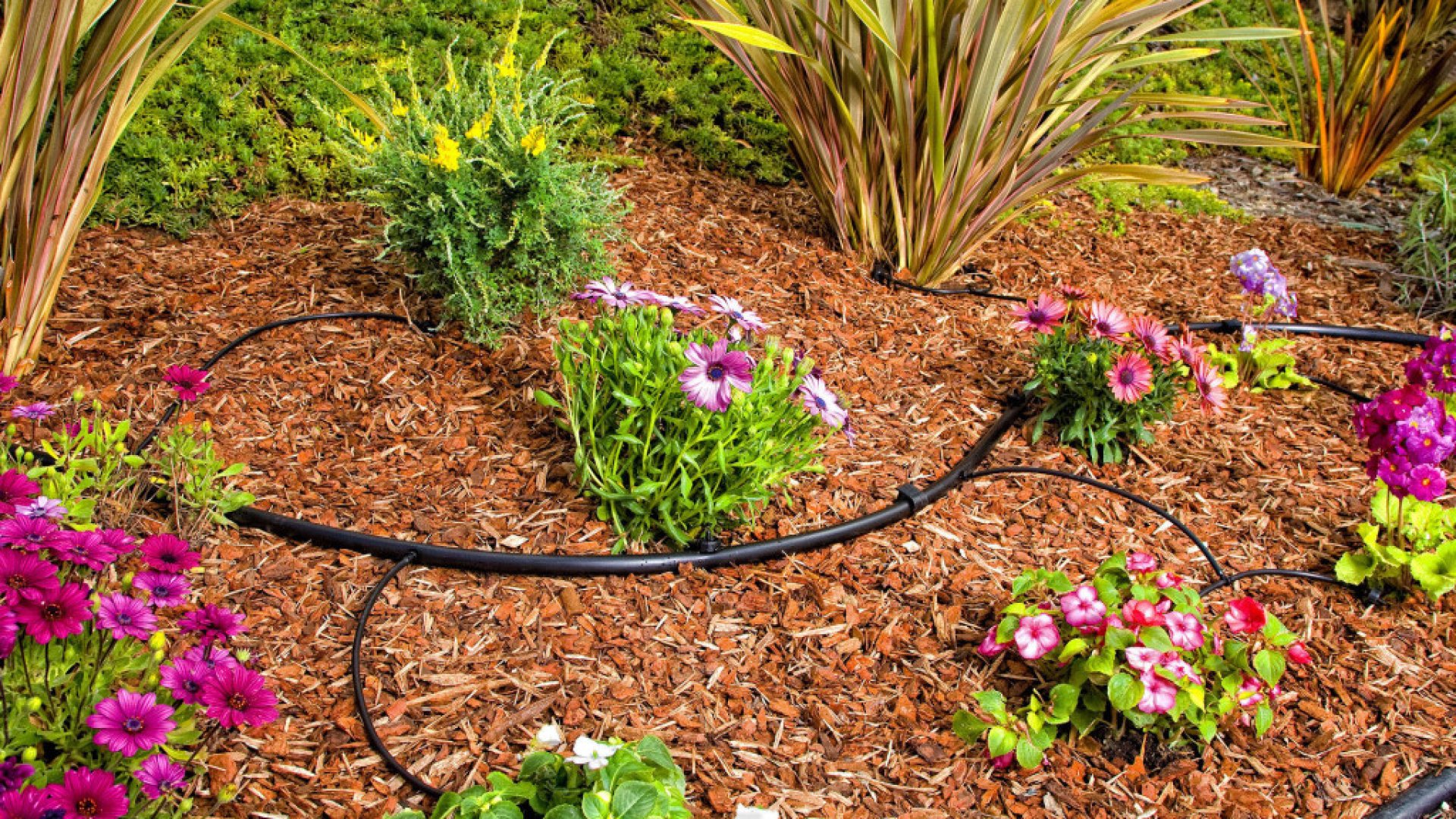 Így telepíts csepegtető öntözőrendszert kertedbe vagy udvarodba