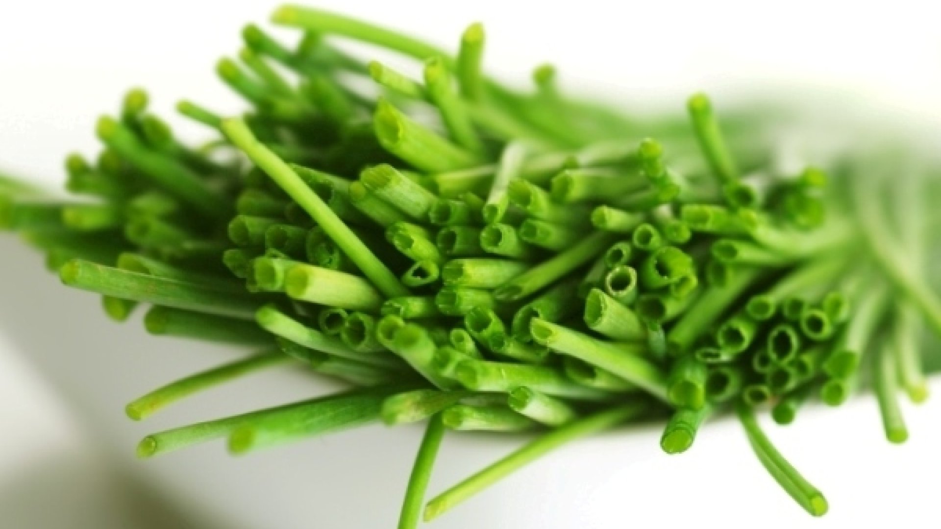 Minden, amit a metélőhagyma termesztéséről és felhasználásáról tudnod kell