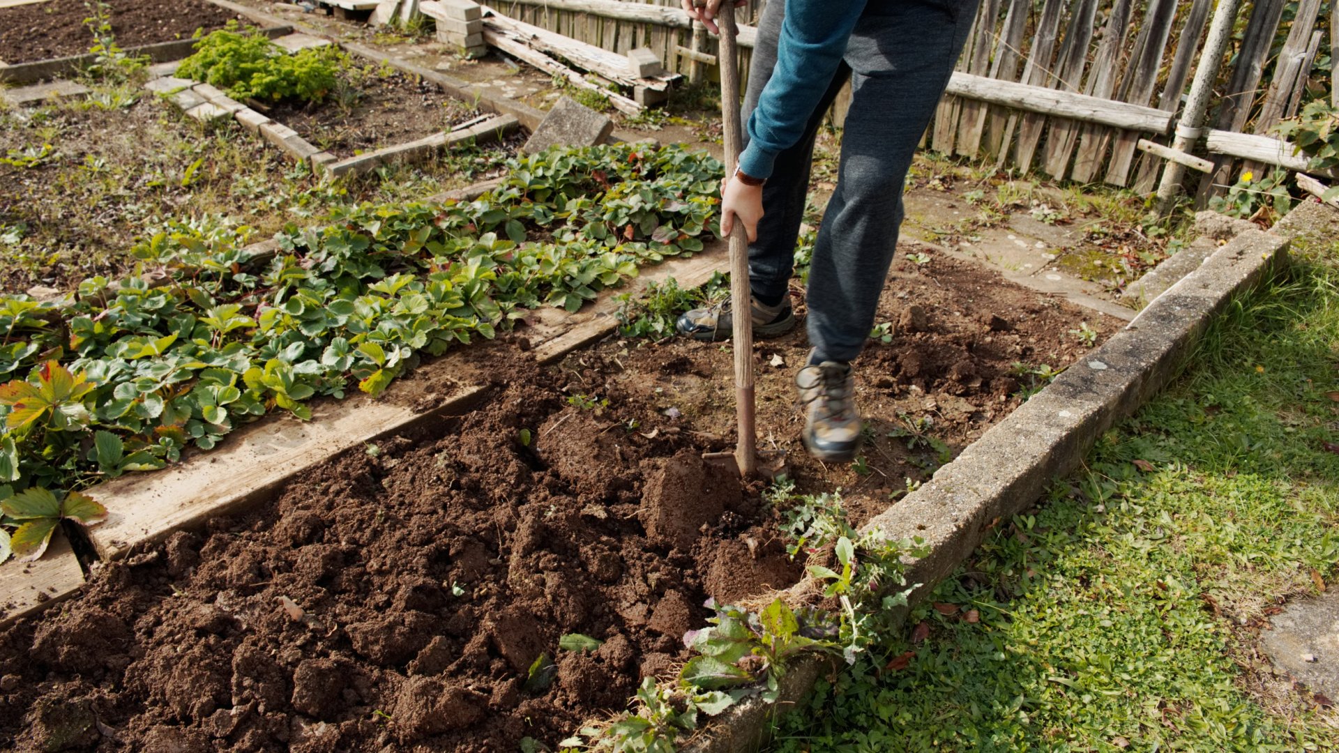 Áprilisi-májusi feladatok a kertben