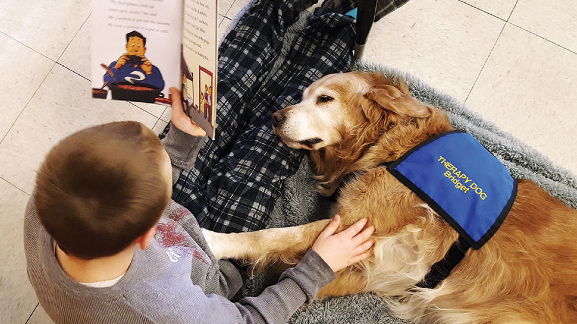 A kutyák csodatévő ereje A kutyák csodatévő ereje