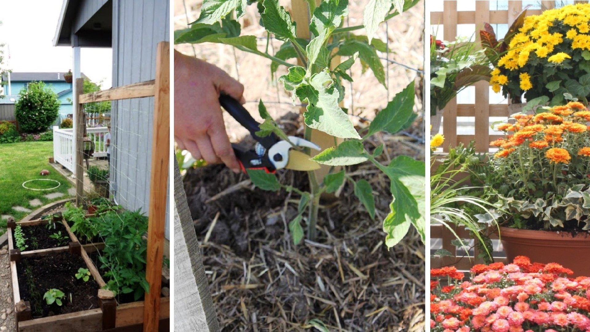 Kertészeti tippek és trükkök kezdő kerttulajdonosoknak