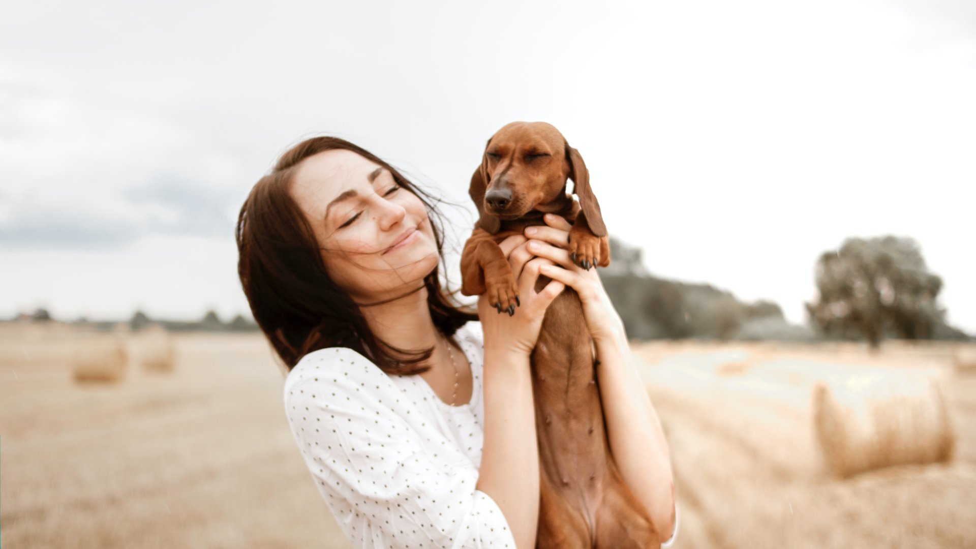 Hogyan kerüld el, hogy lakásod kutya kennel szagú legyen Hogyan kerüld el, hogy lakásod kutya kennel szagú legyen