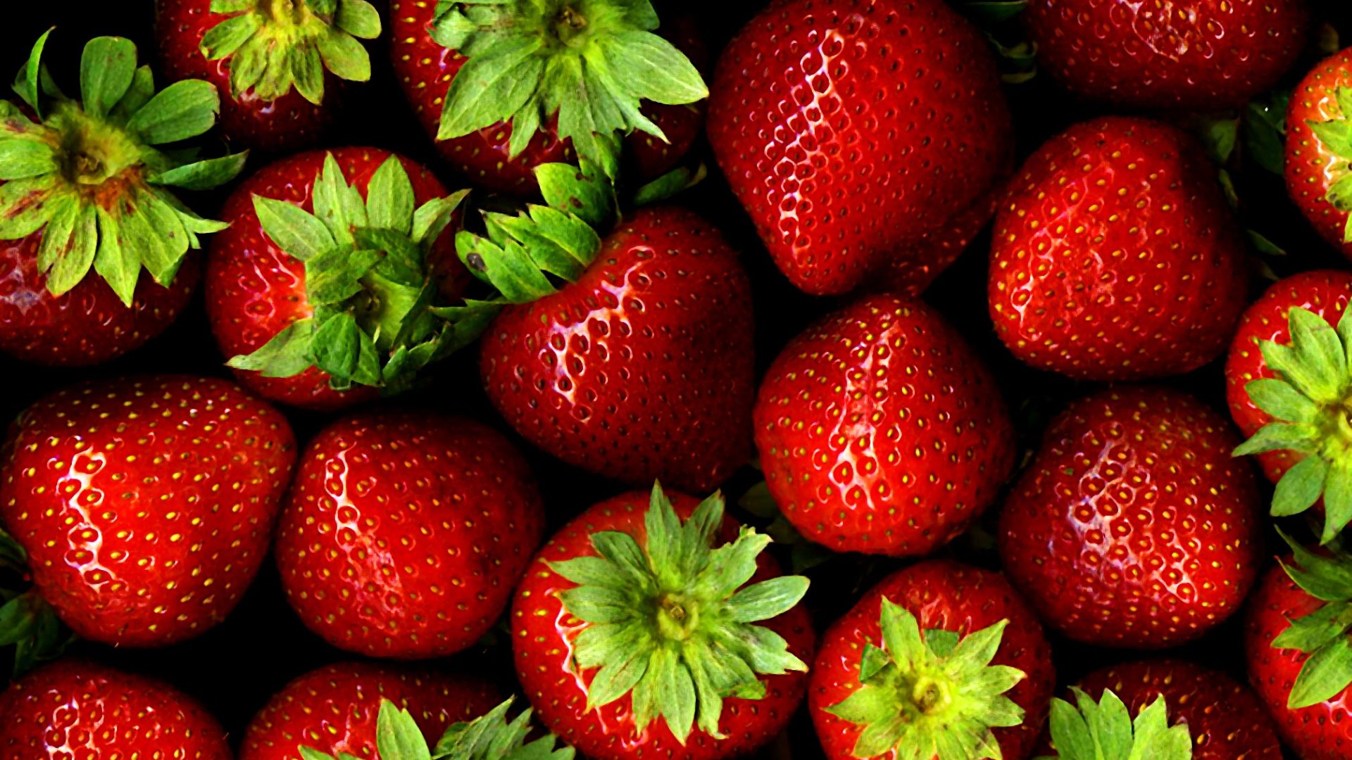 Remek gyümölcsök növénytartós kertészeknek