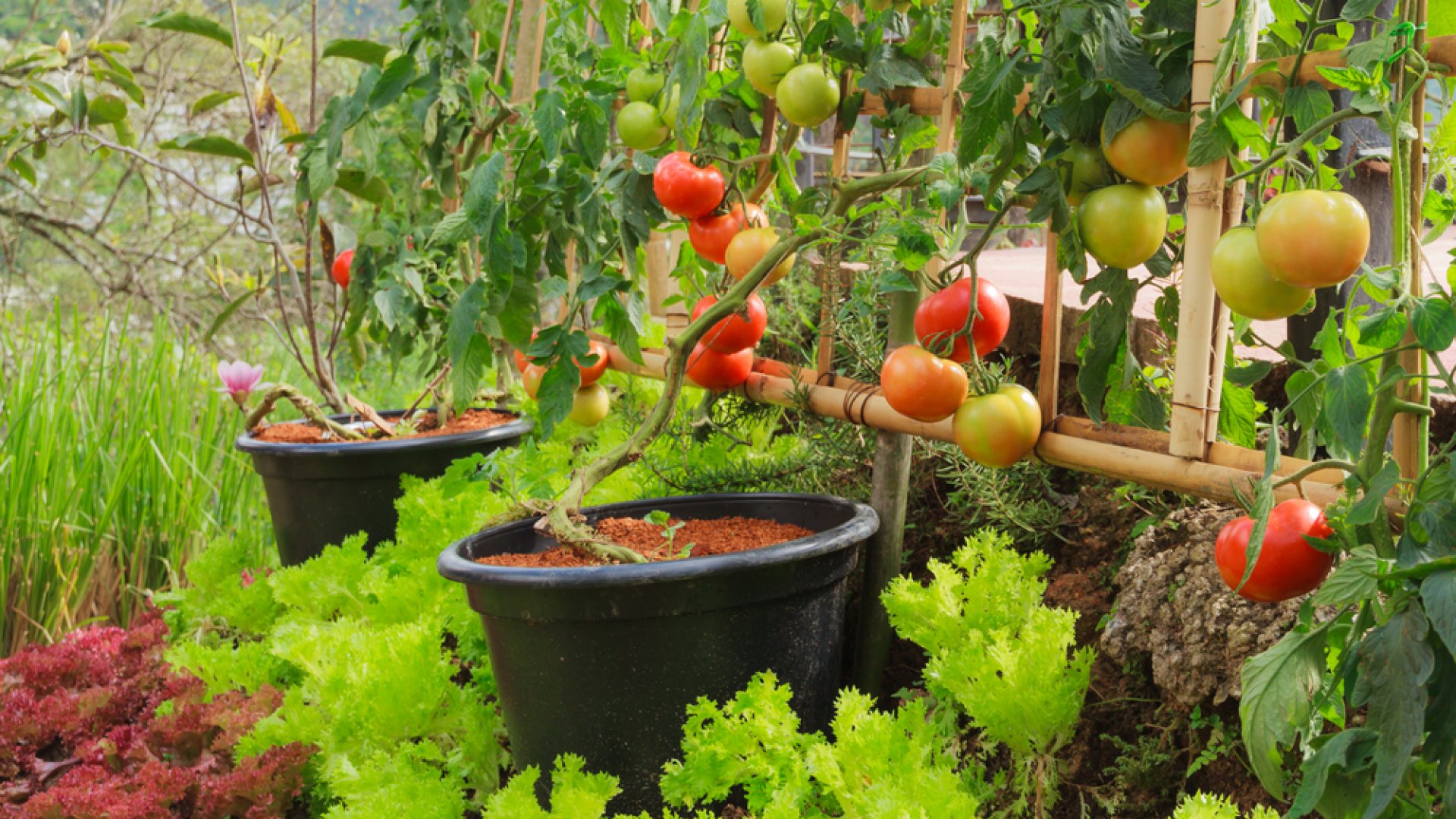 Így lehet gazdagabb termésed!